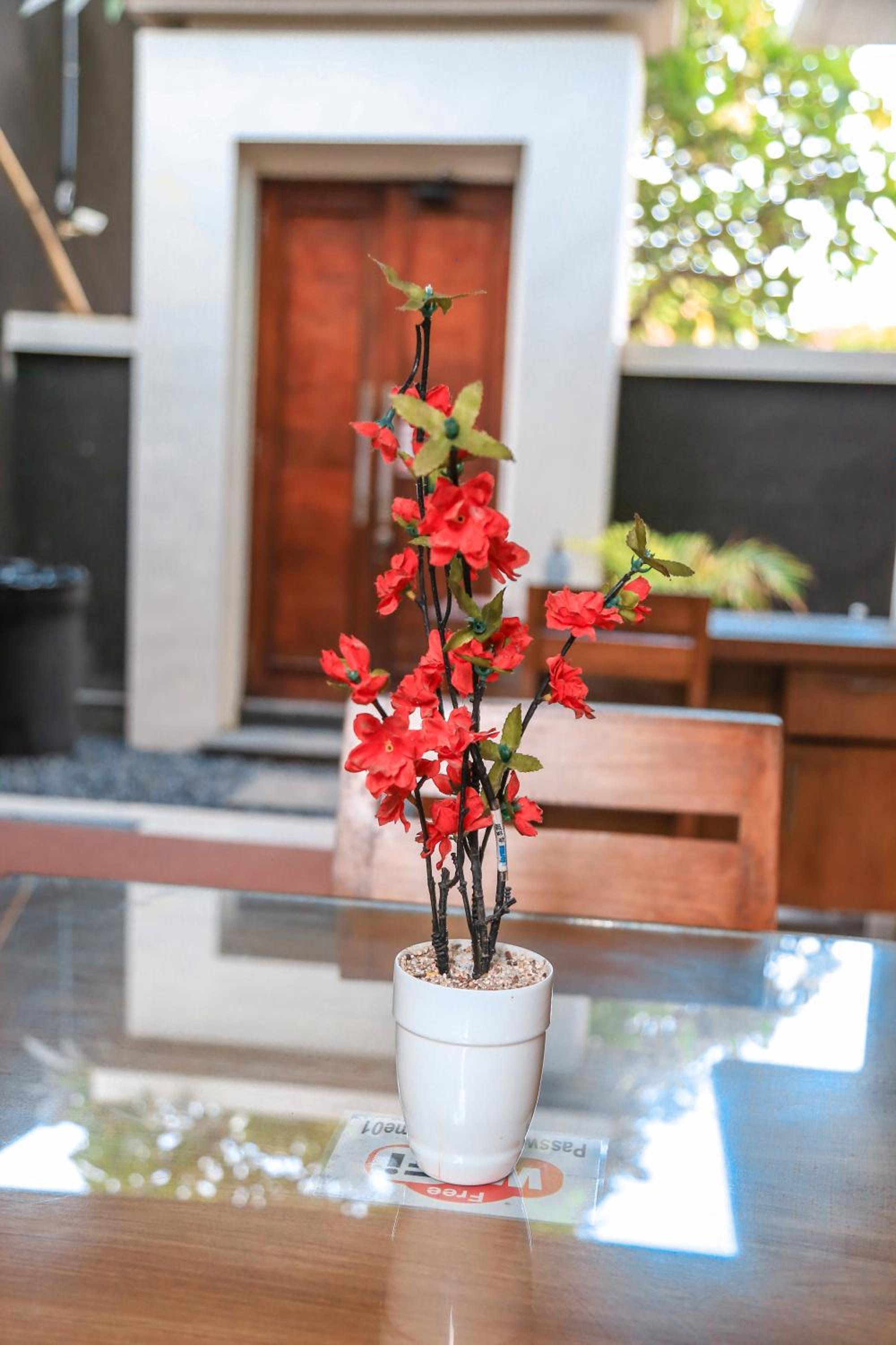 Alia Home