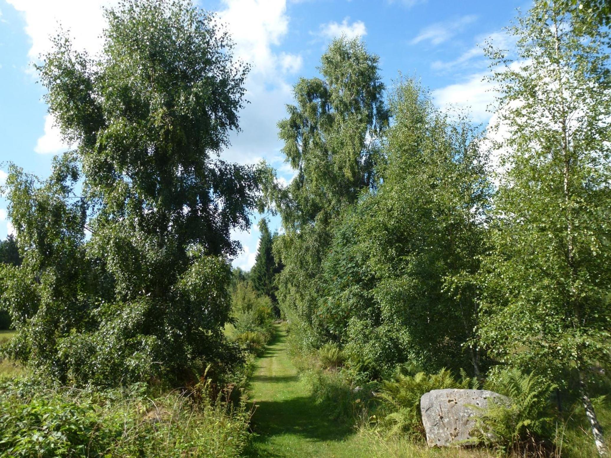 Photo 39