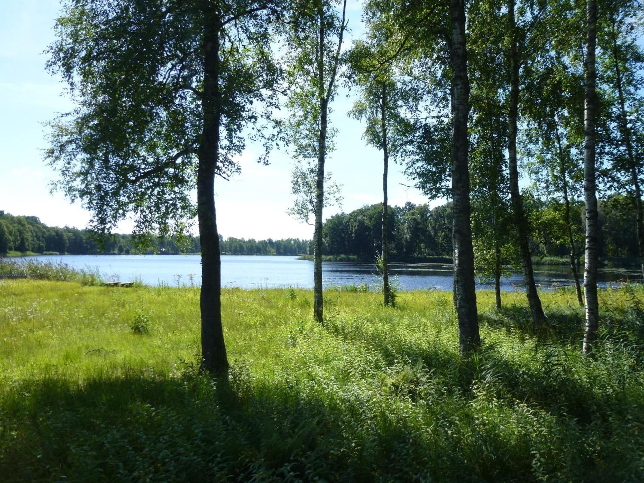 Photo 22
