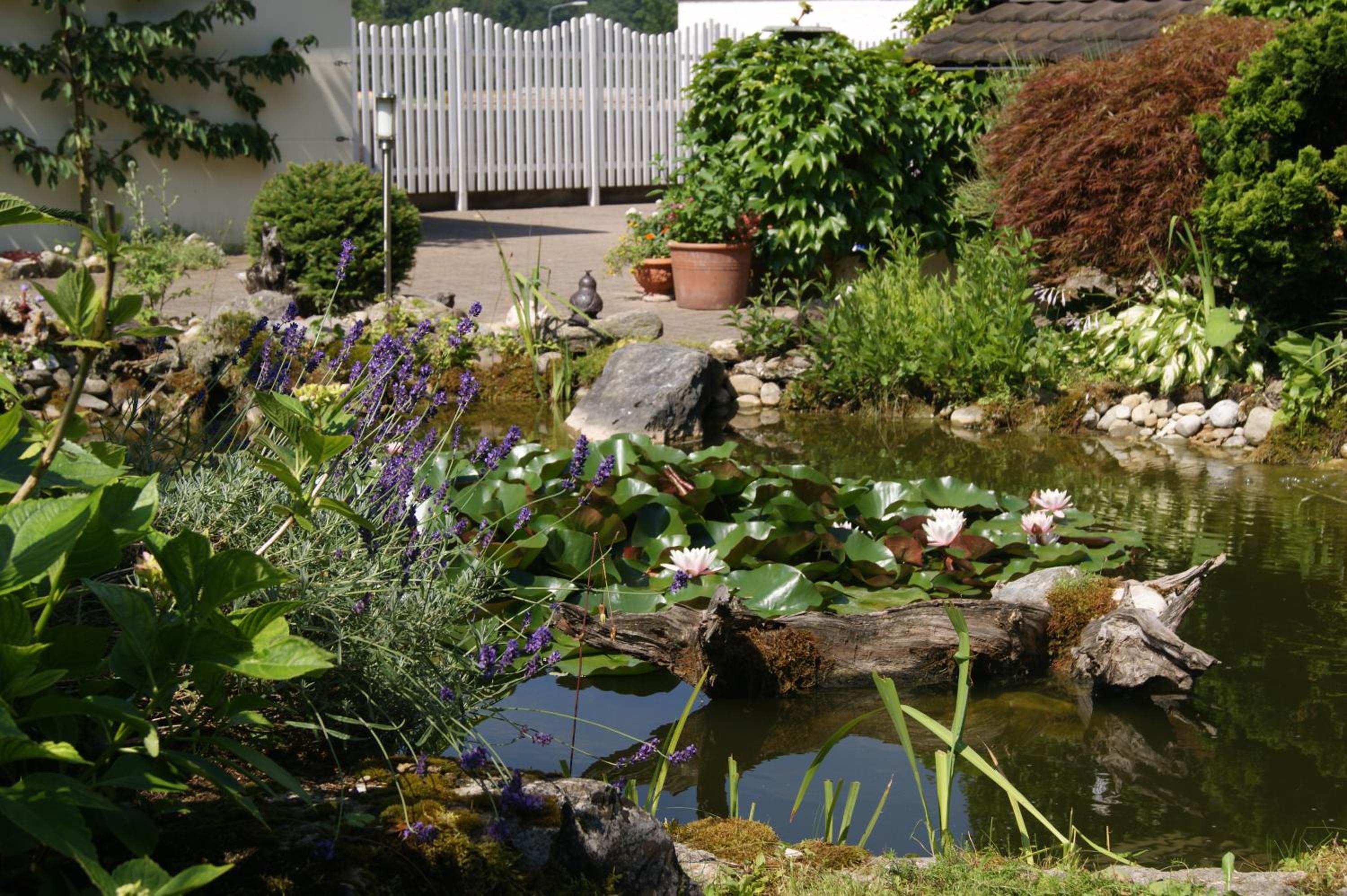 Photo 14