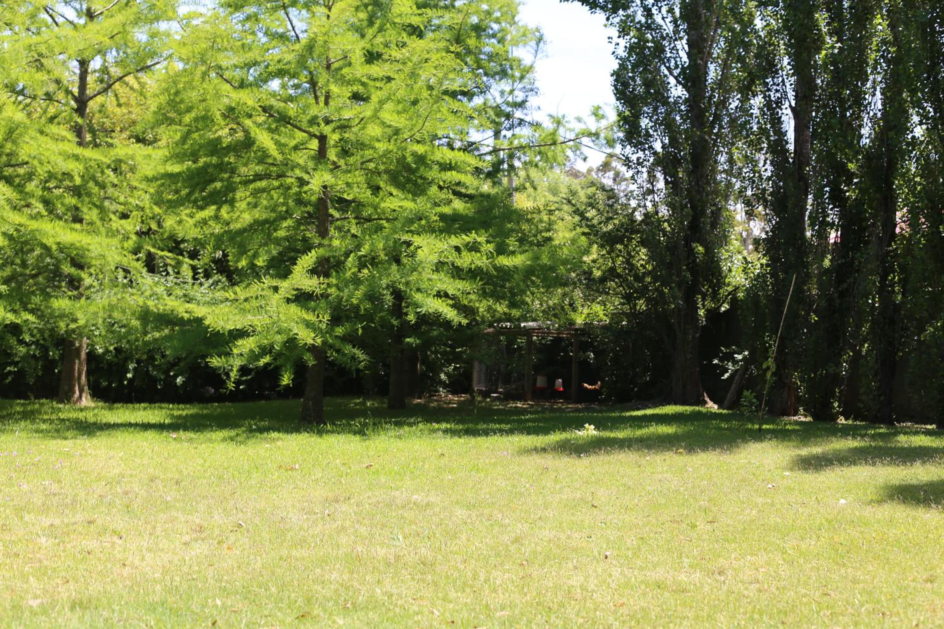 Photo 31