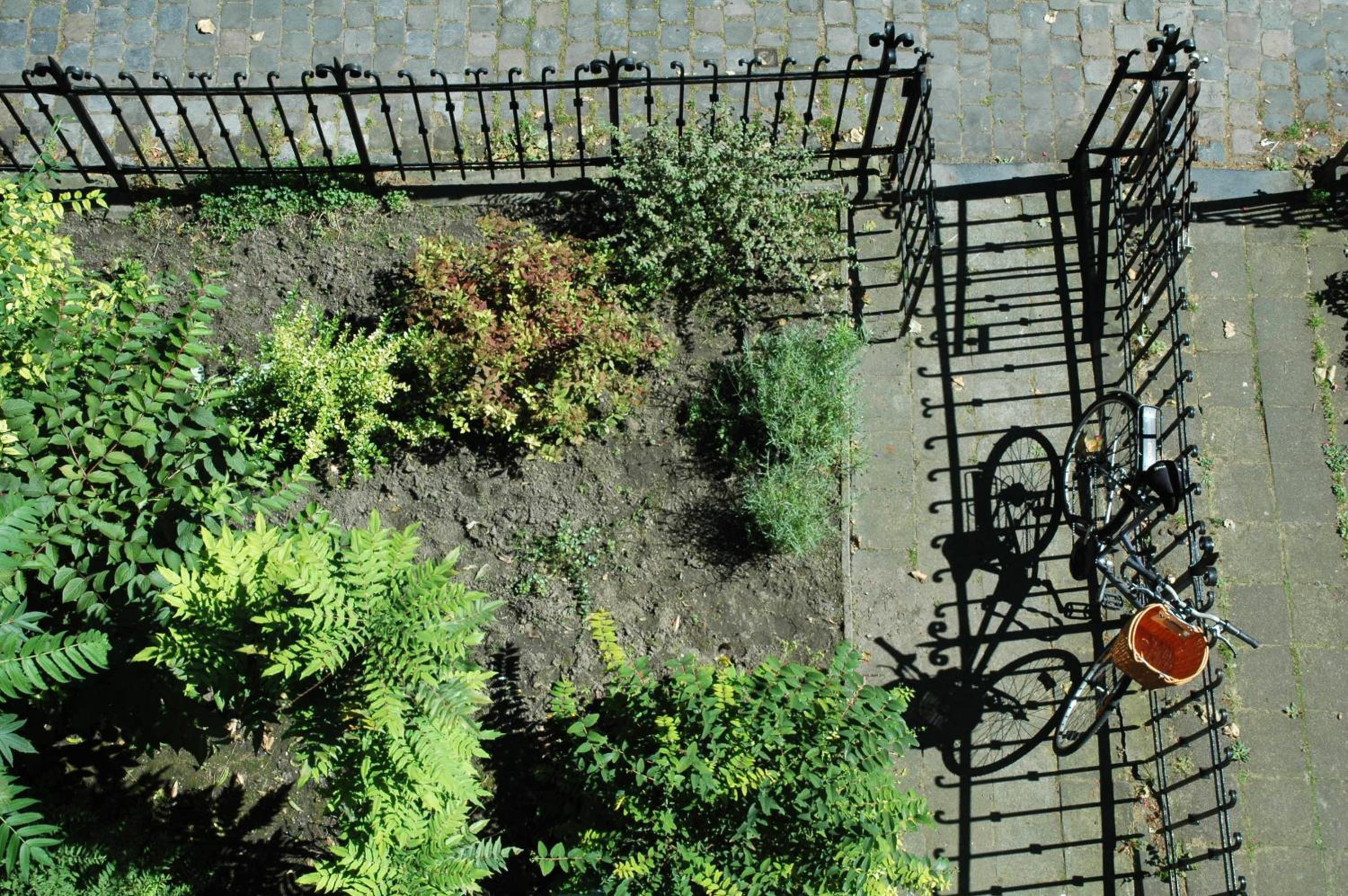 Villa des Roses Voltaire