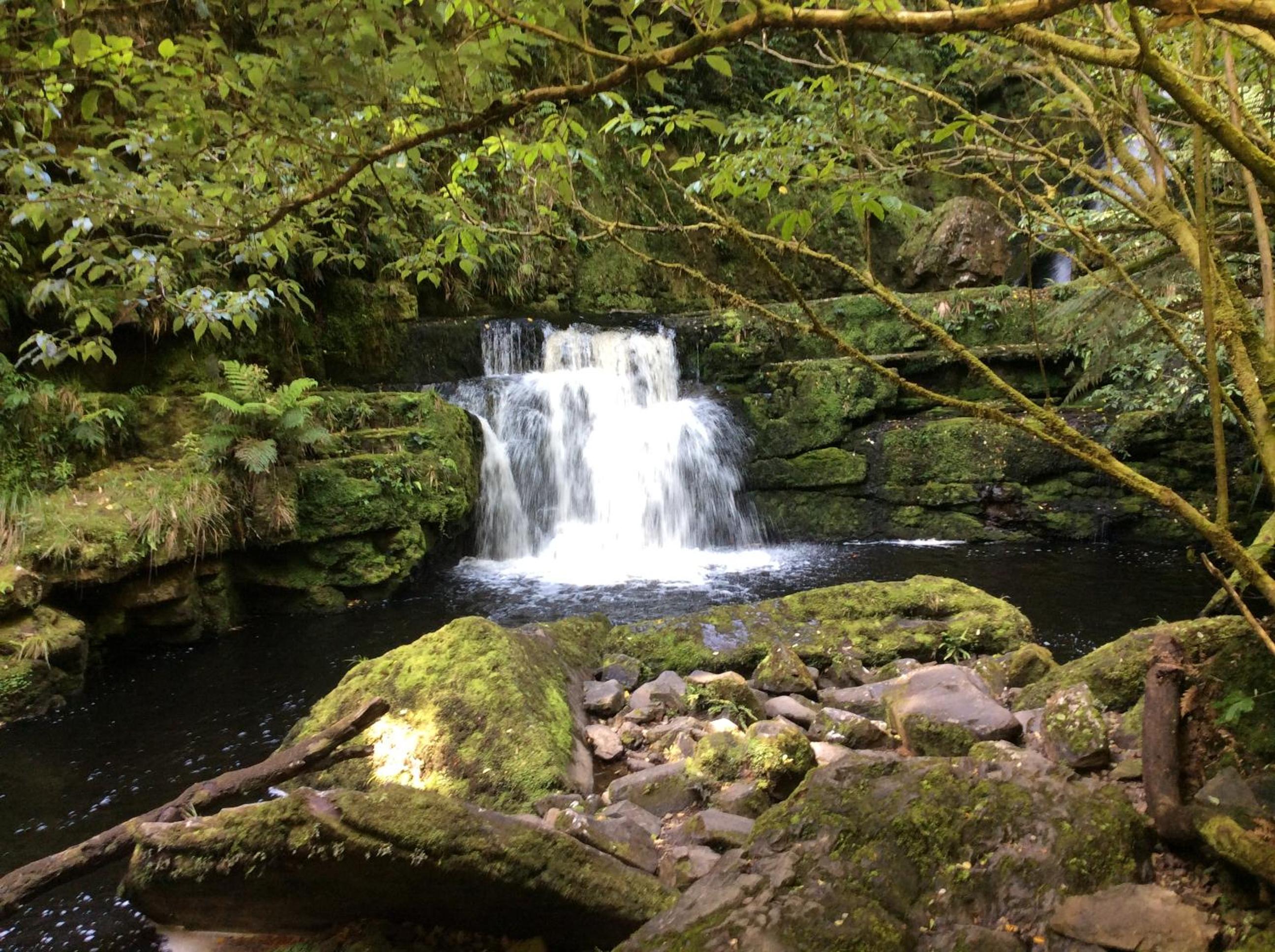Catlins Retreat B & B view 4