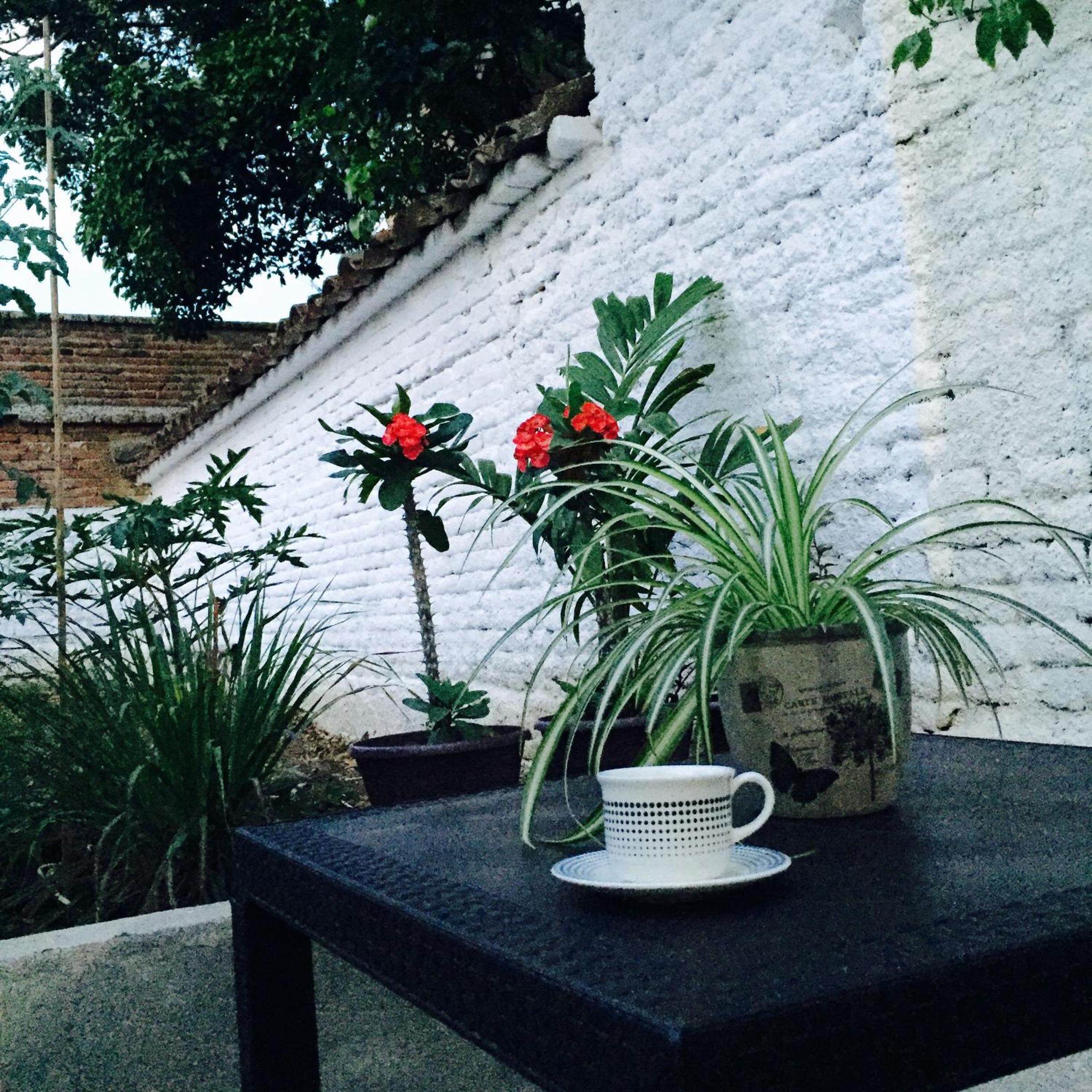 Casa Helga a dos cuadras de la Basílica, casa entera con jardín amplio, 6 habitaciones, 5 baños, cocina, comedor y sala de TV