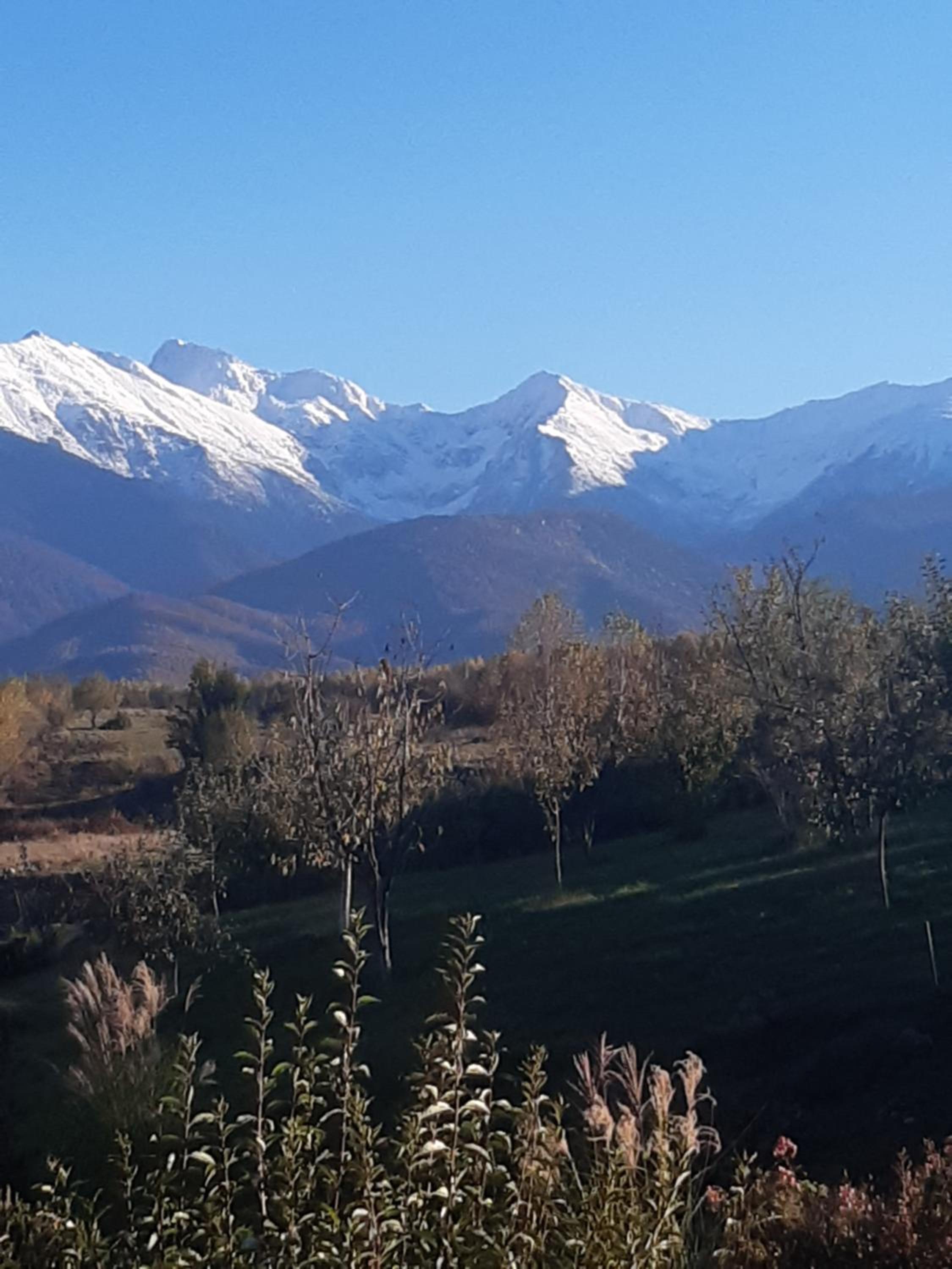 La Curtea Porumbaceana view 2