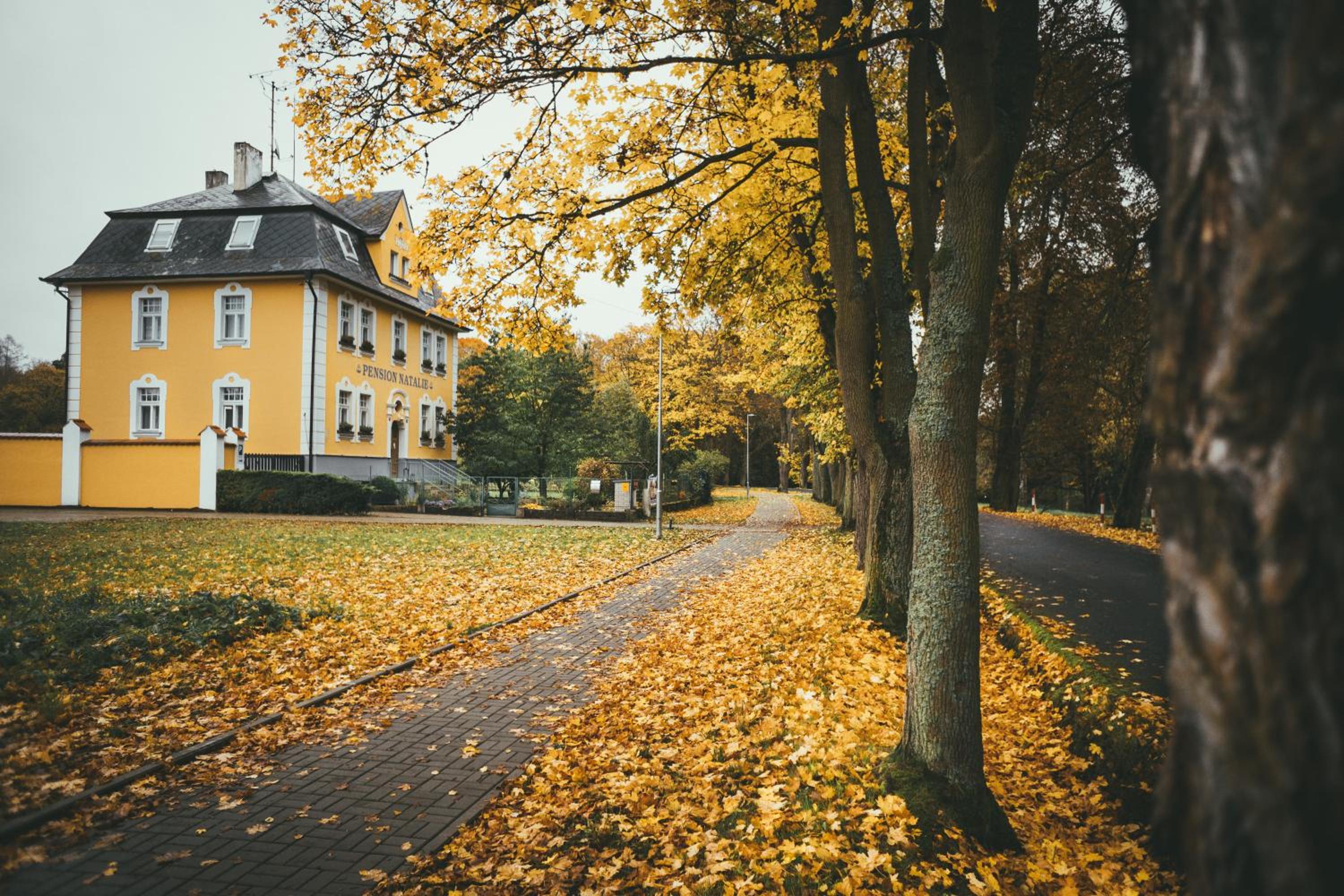 Apartmány Natálie
