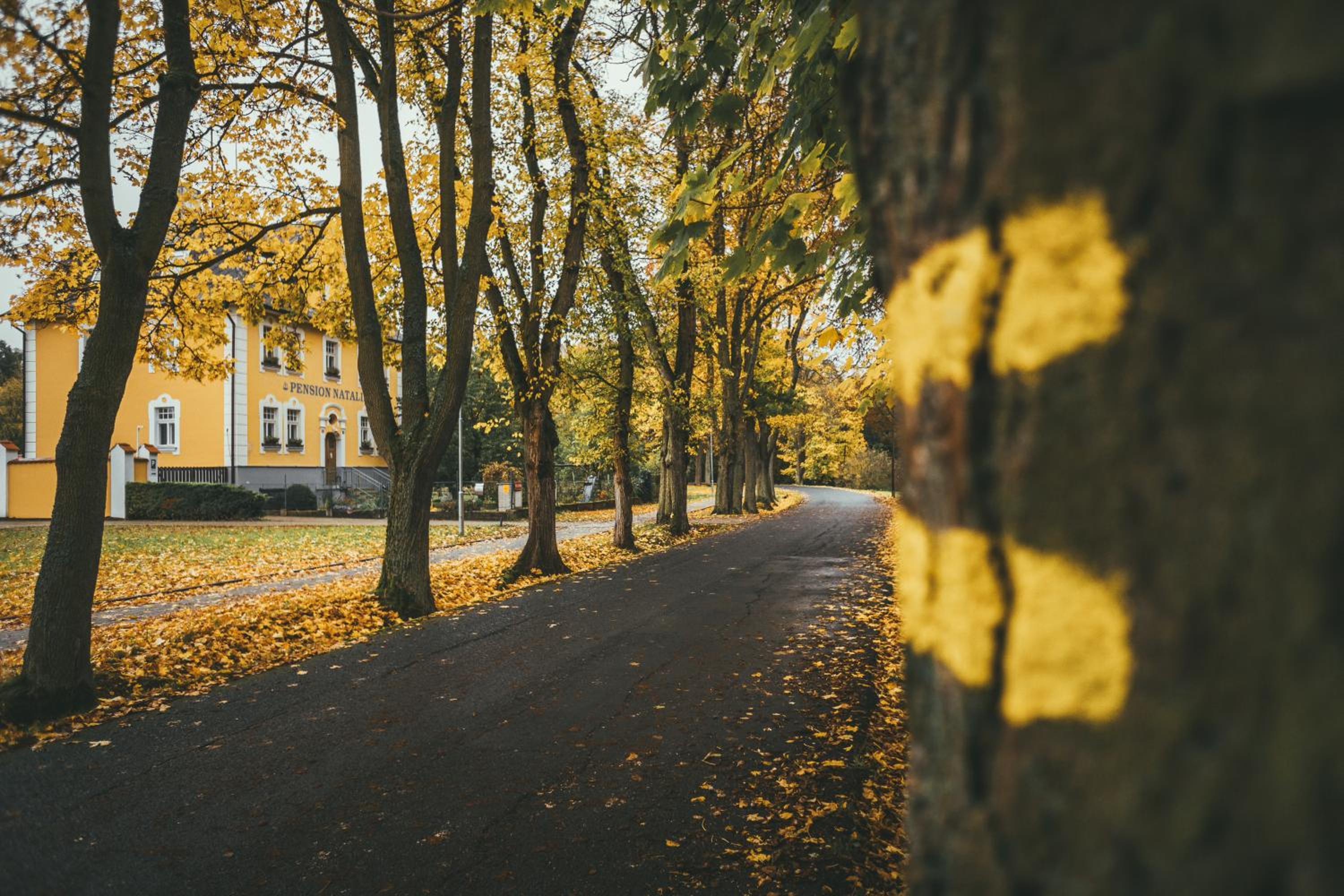 Apartmány Natálie