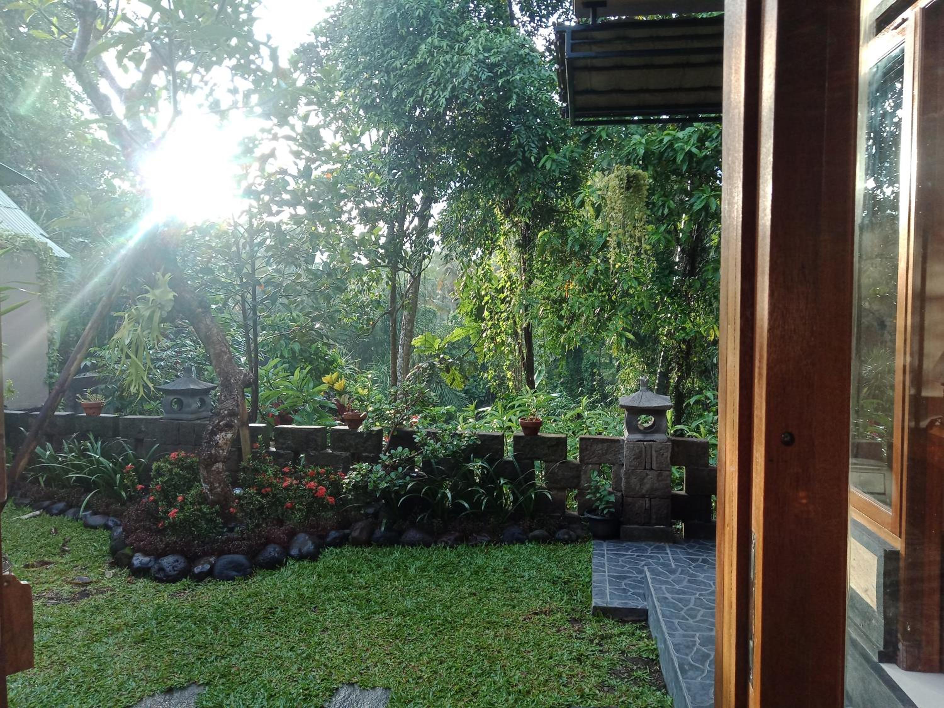 Putu home stay ubud view 3