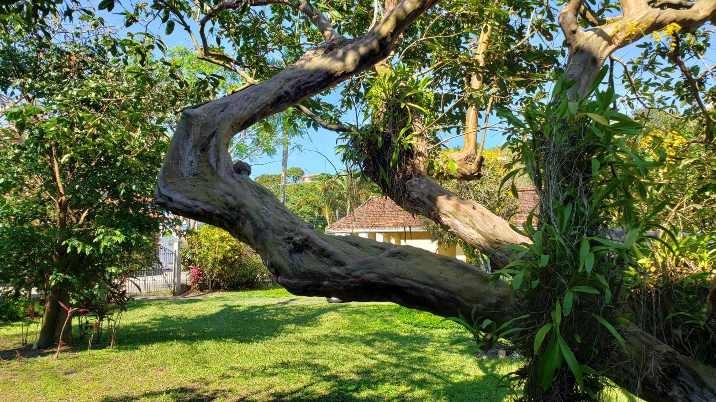 Natureza a 100m da Praia, 4 suítes, amplo jardim
