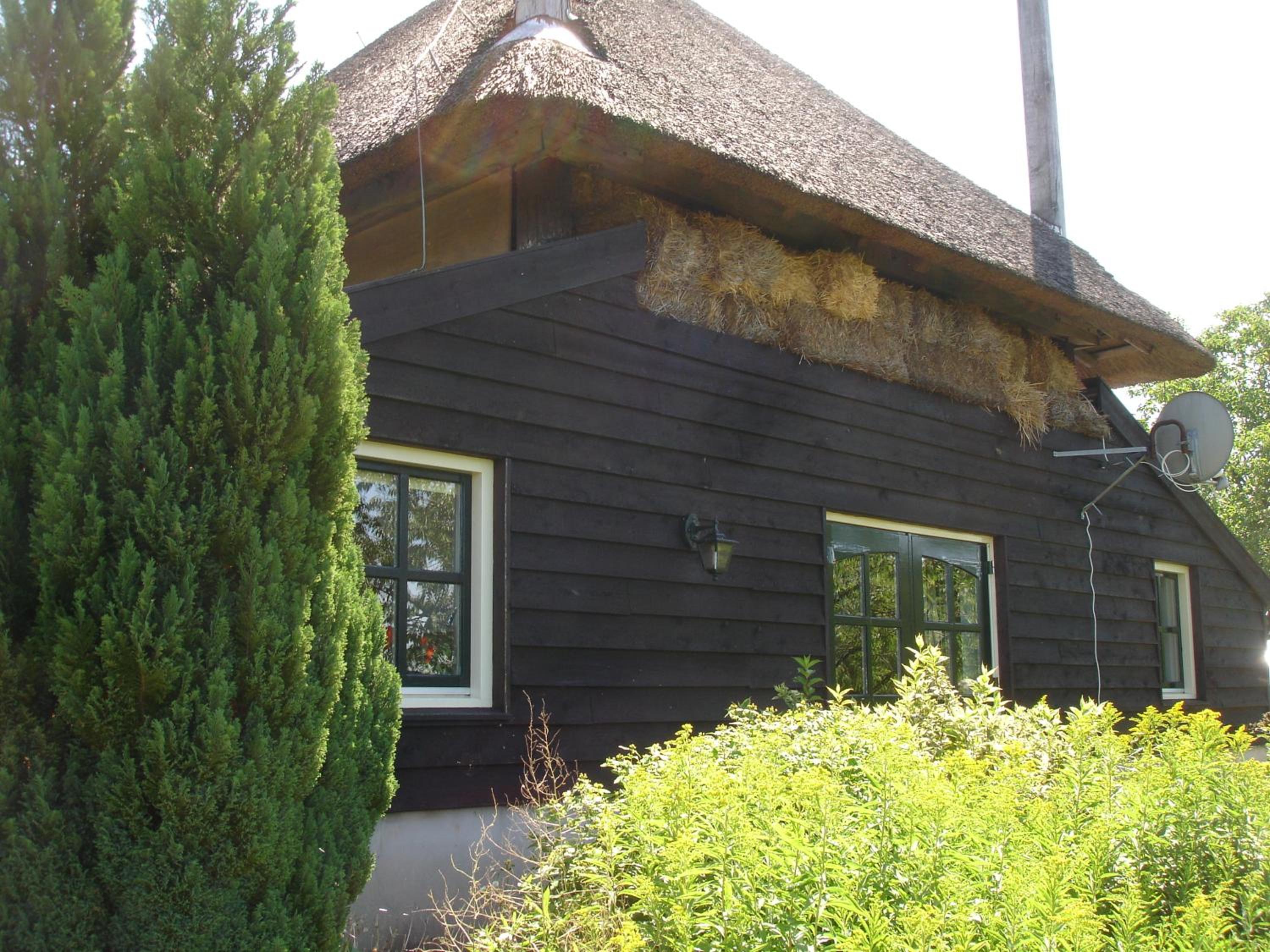 Cornucopia Cottage view 3