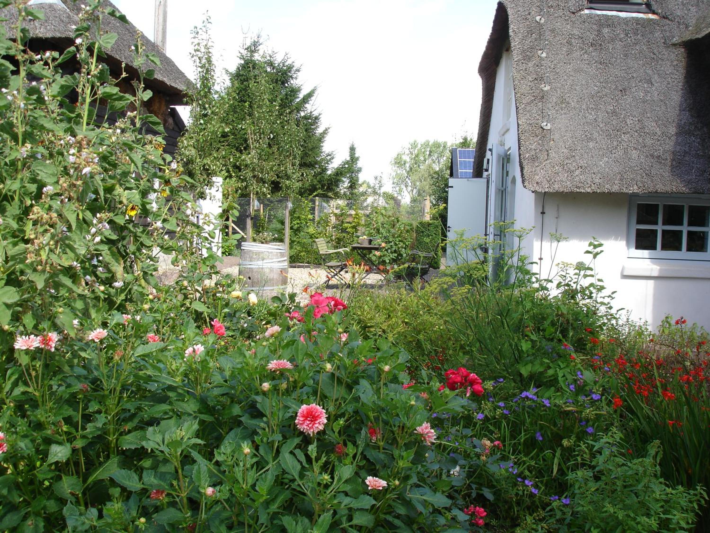 Photo 30