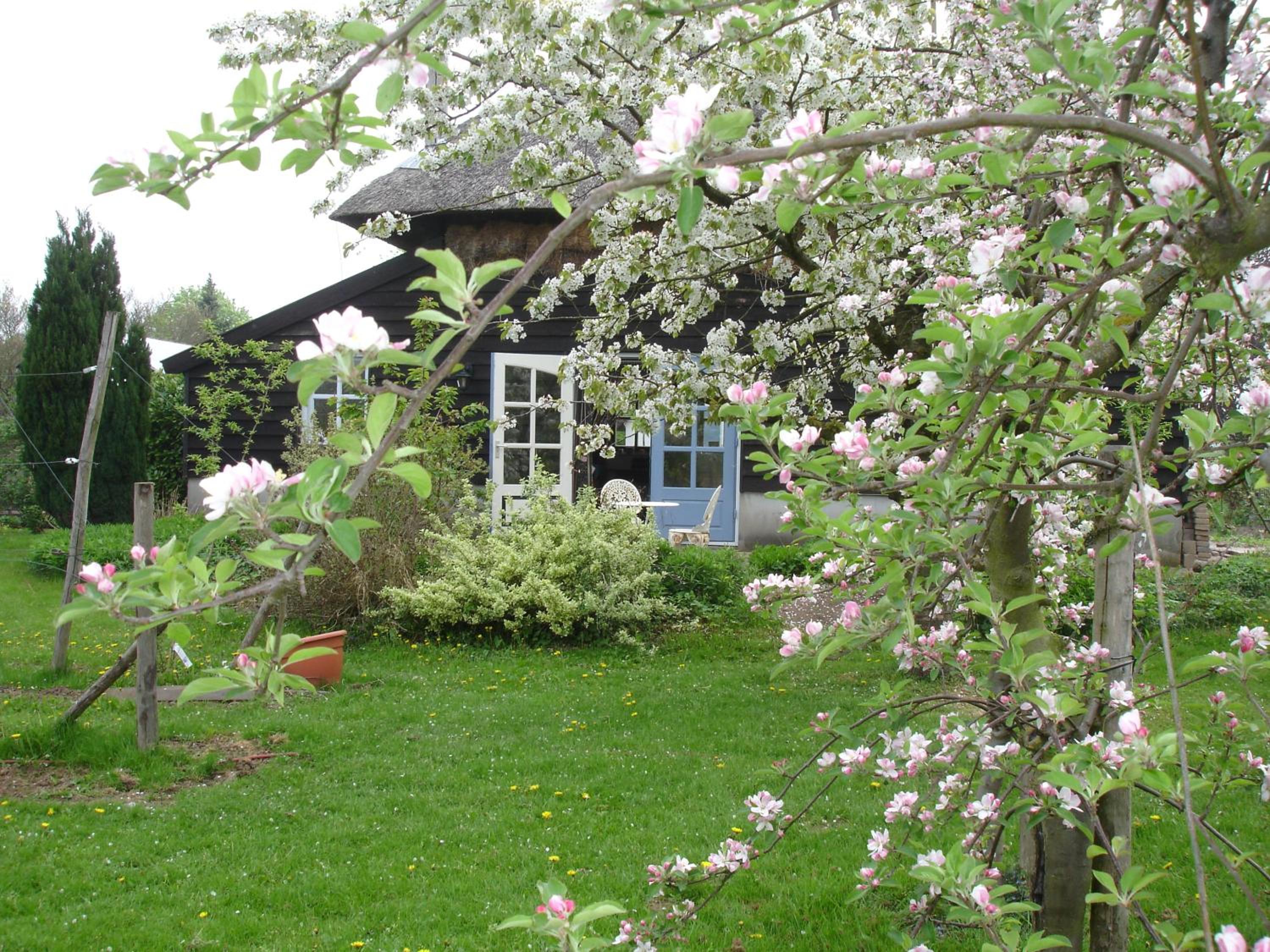 Cornucopia Cottage view 4