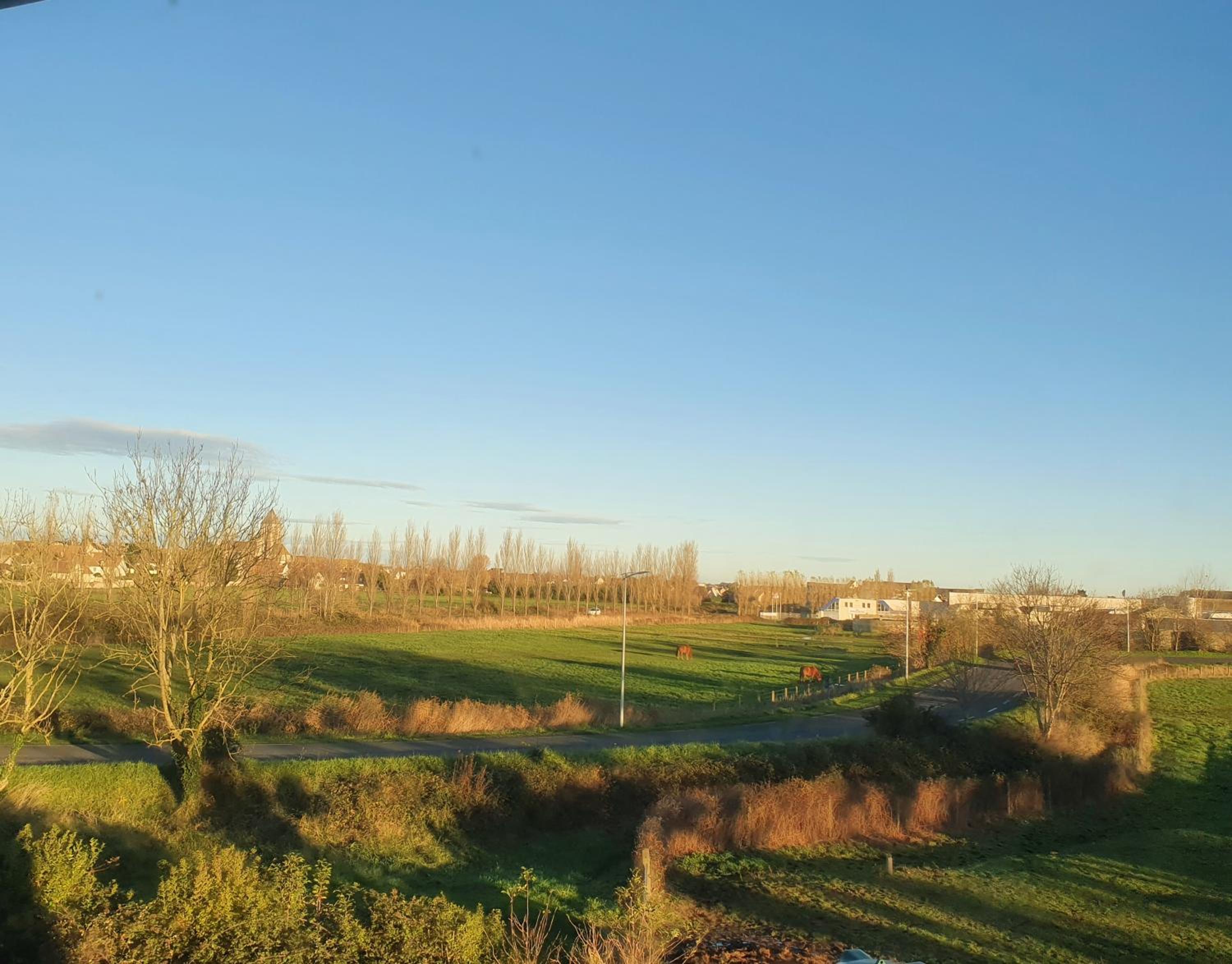 children's play area