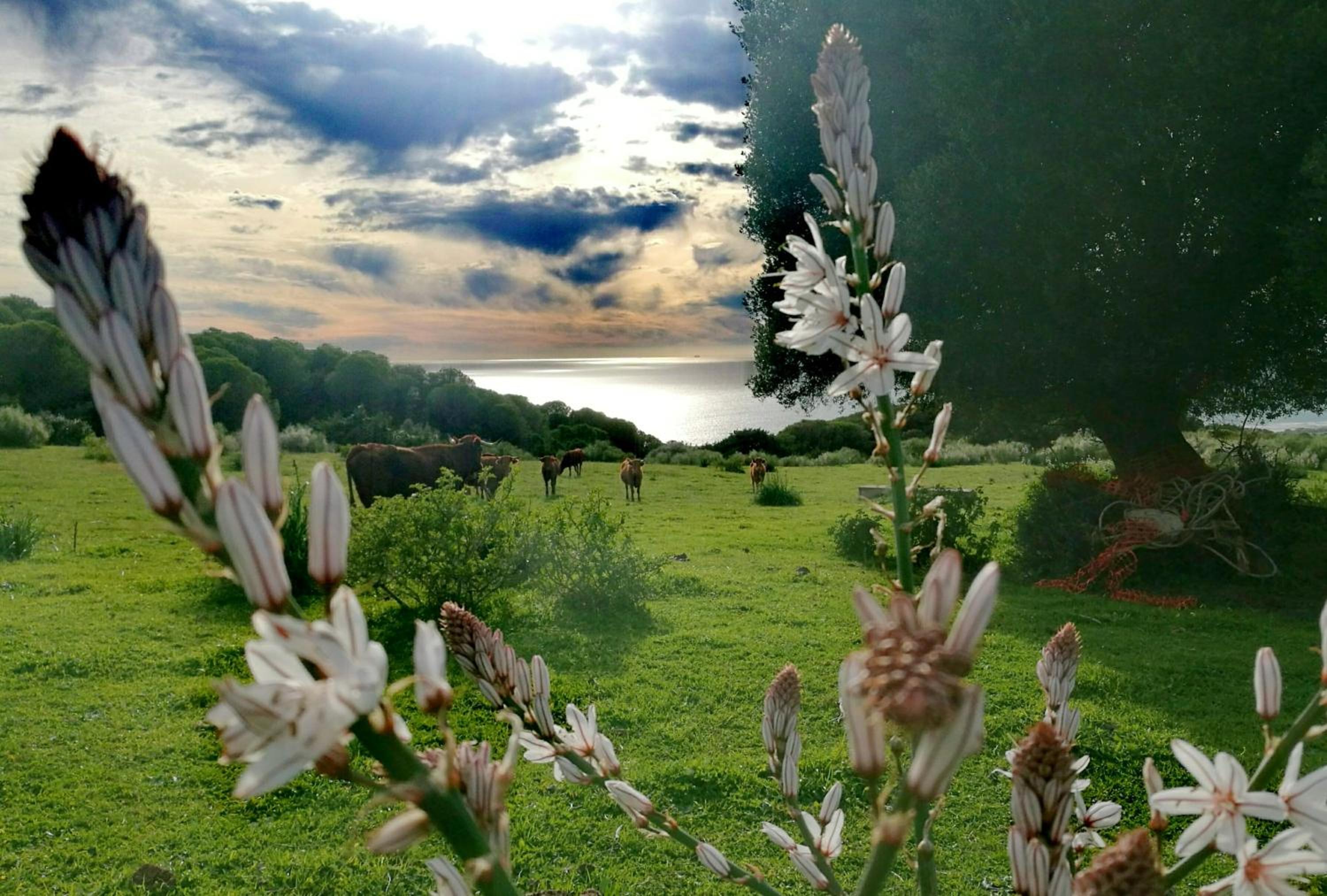 Charming house with sea and mountain views in El Chaparral