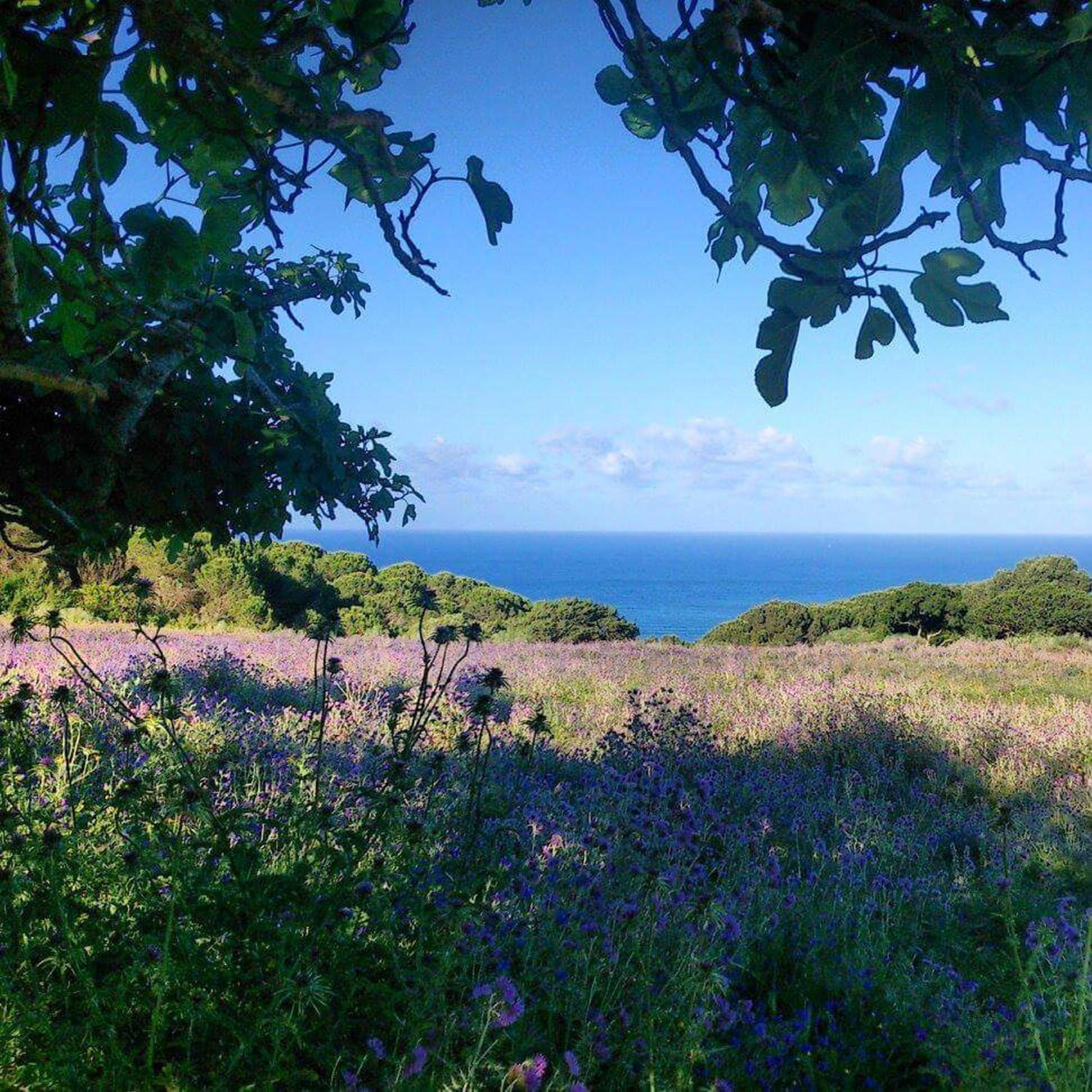 Charming house with sea and mountain views in El Chaparral