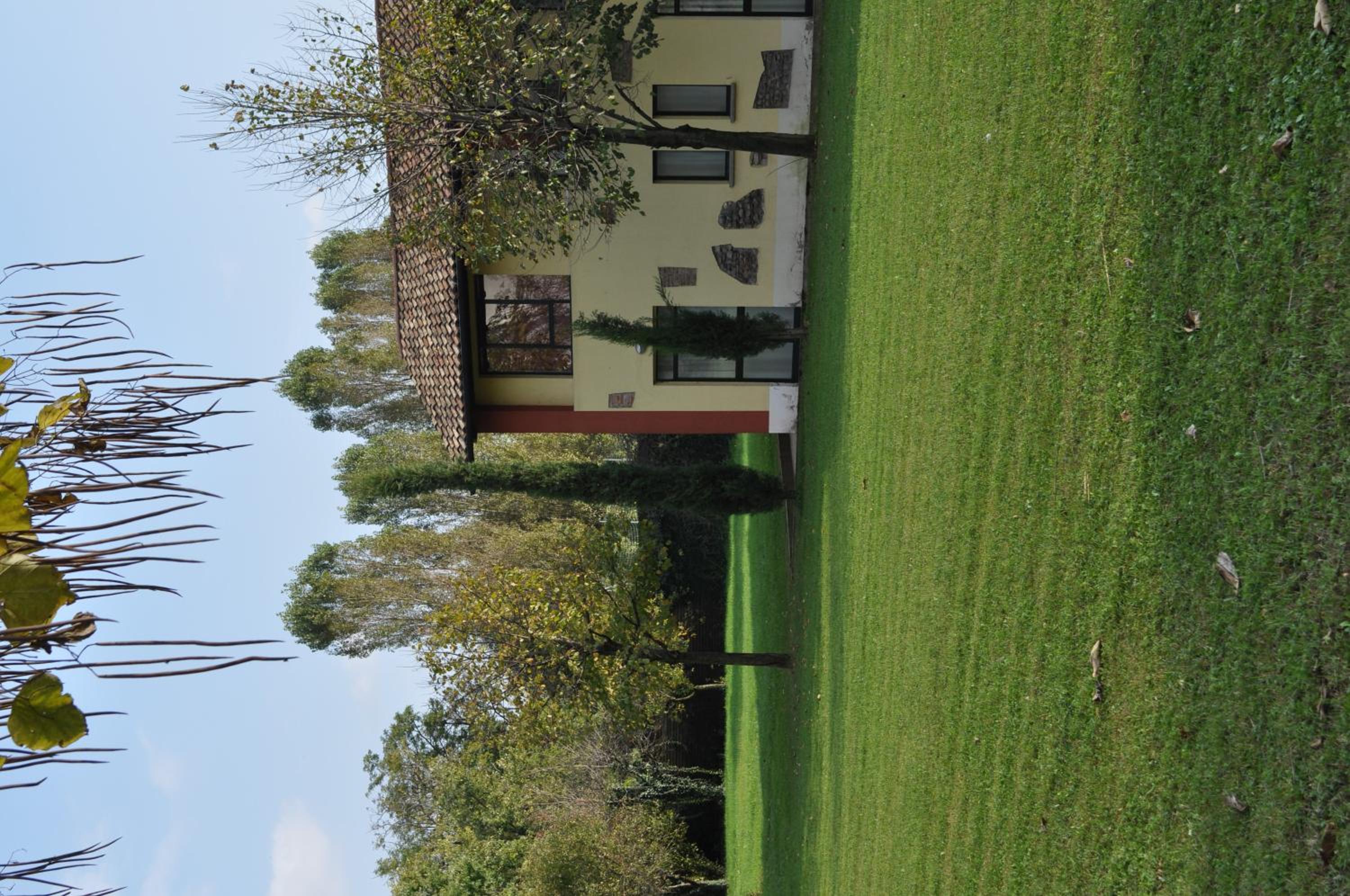 Photo 37