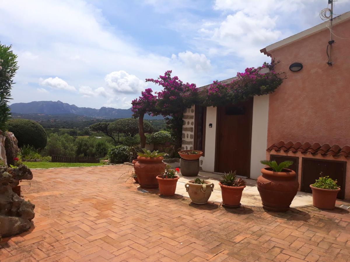 One bedroom appartement with sea view enclosed garden and wifi at Olbia 6 km away from the beach photo 2