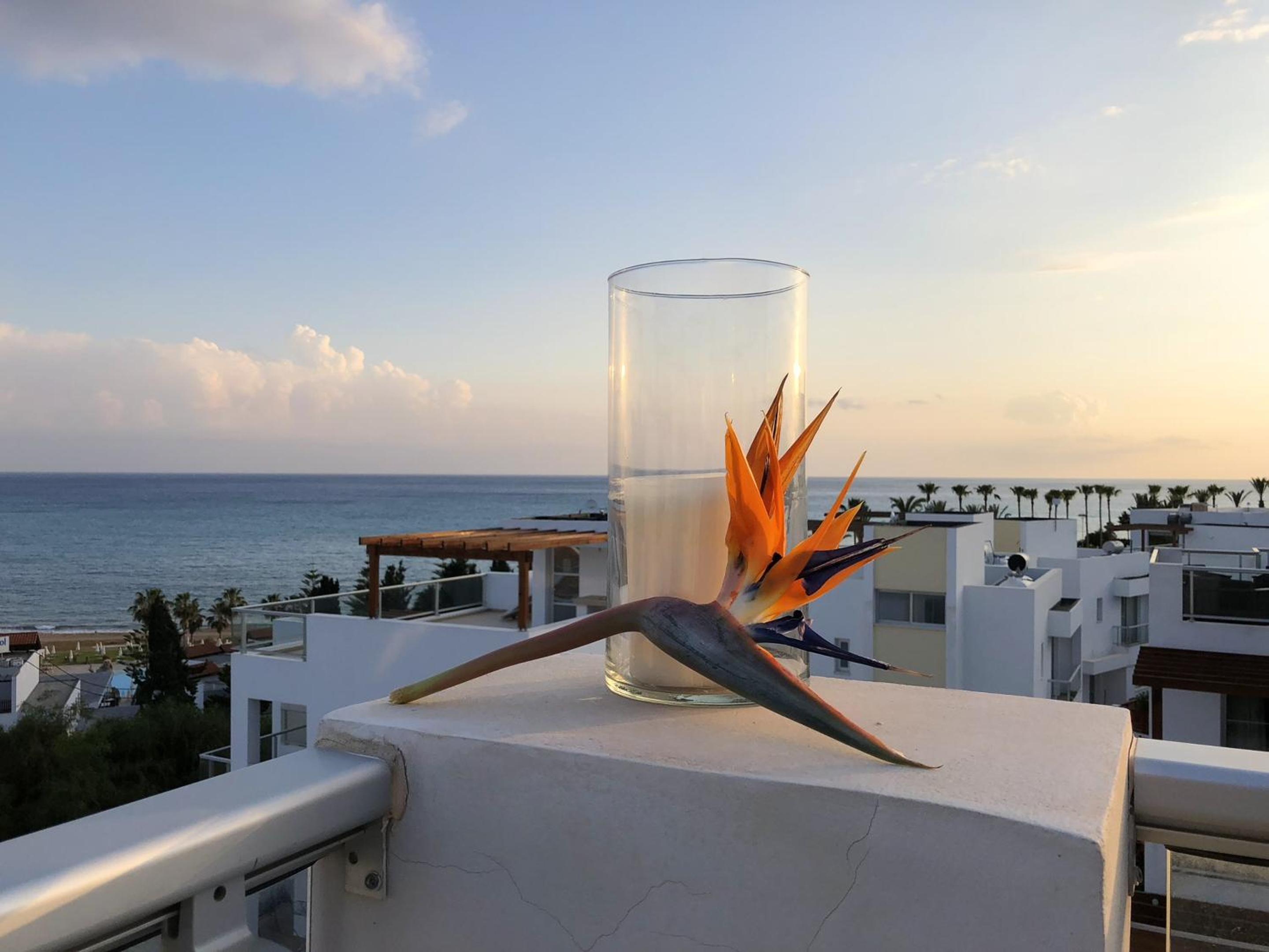 Elegant Villa in Peyia with Sea View and Private Pool