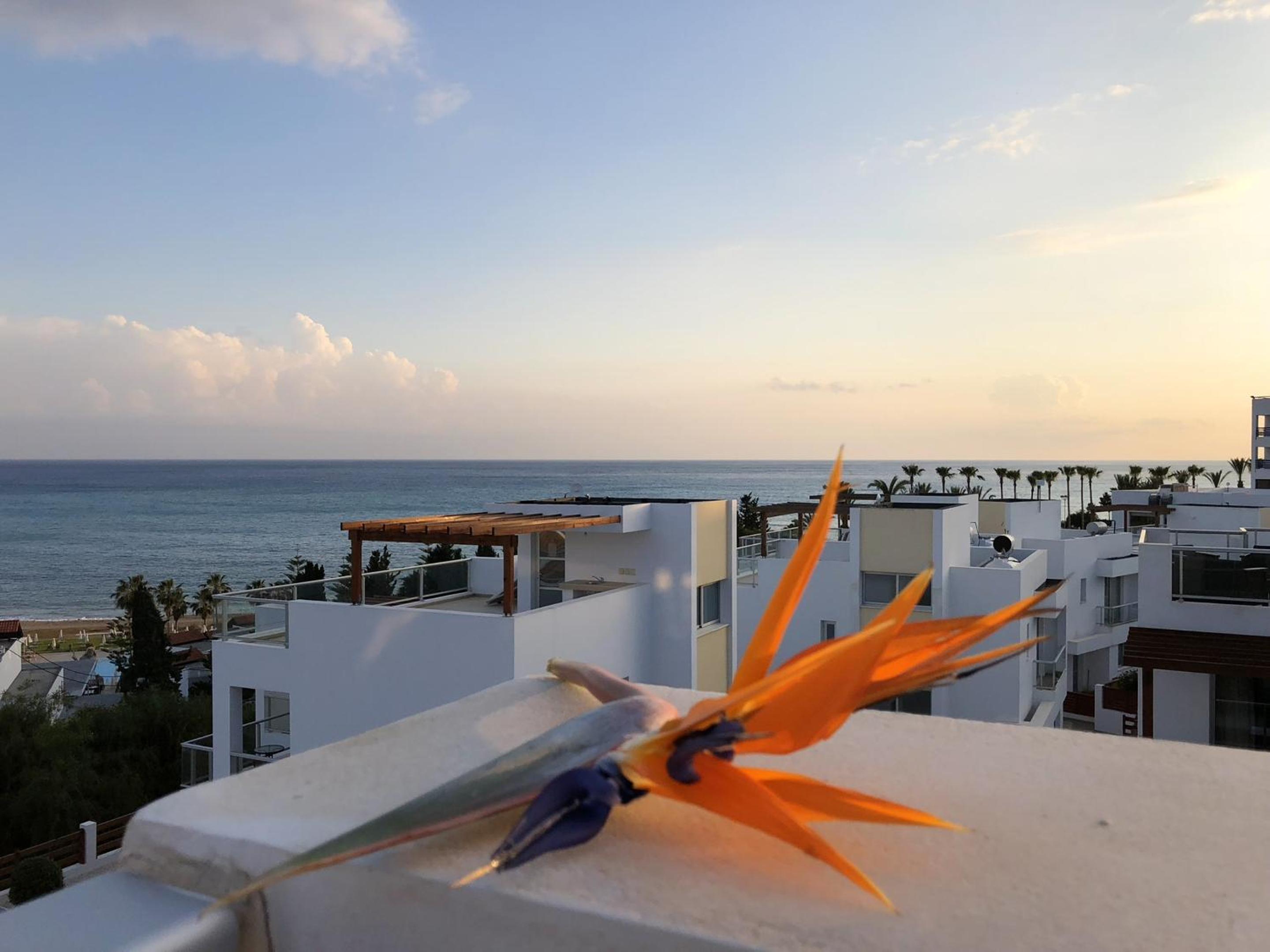 Elegant Villa in Peyia with Sea View and Private Pool