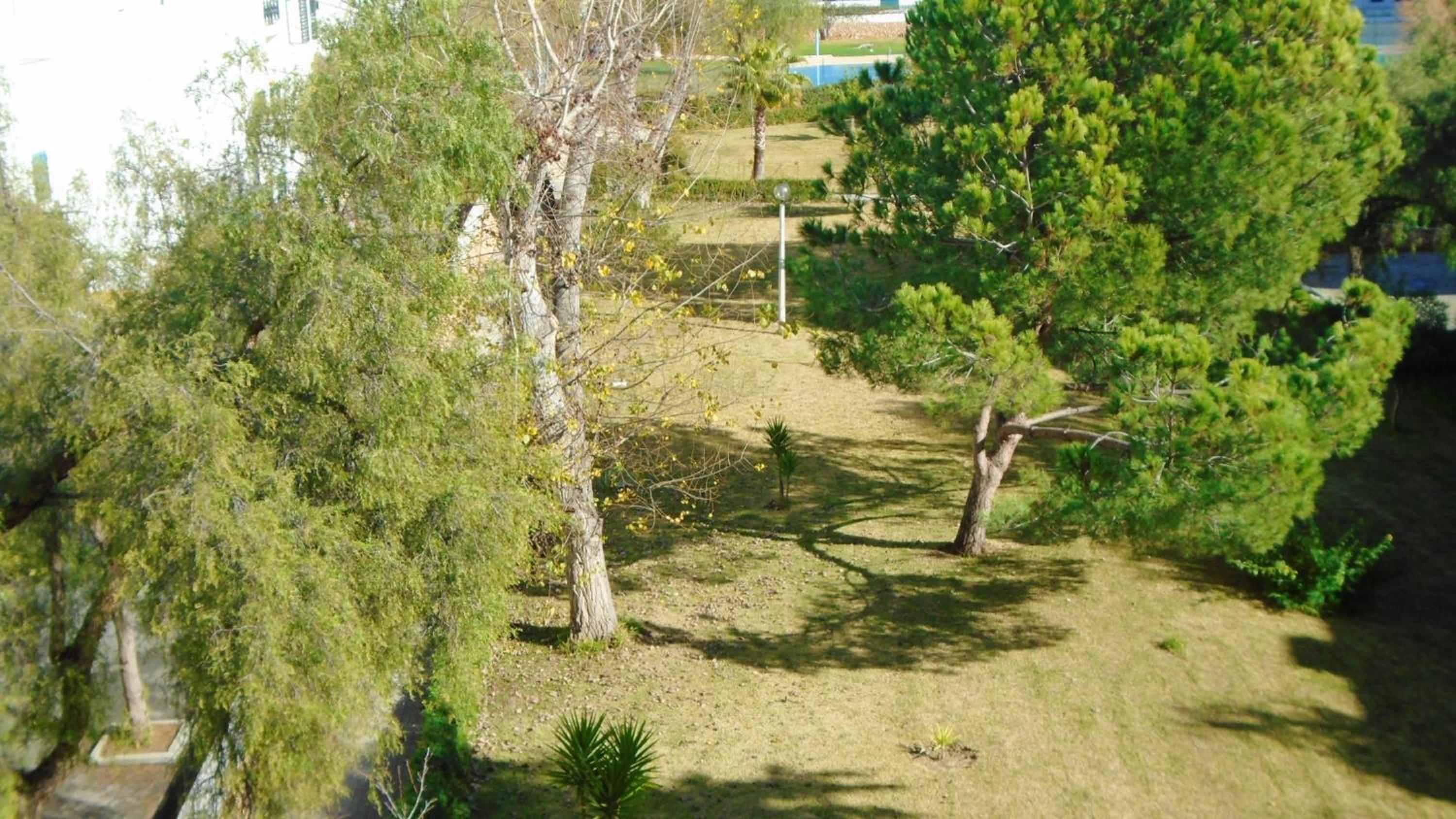 Spacious Apartment in Armação de Pêra with Sea View - 90 m² view 4