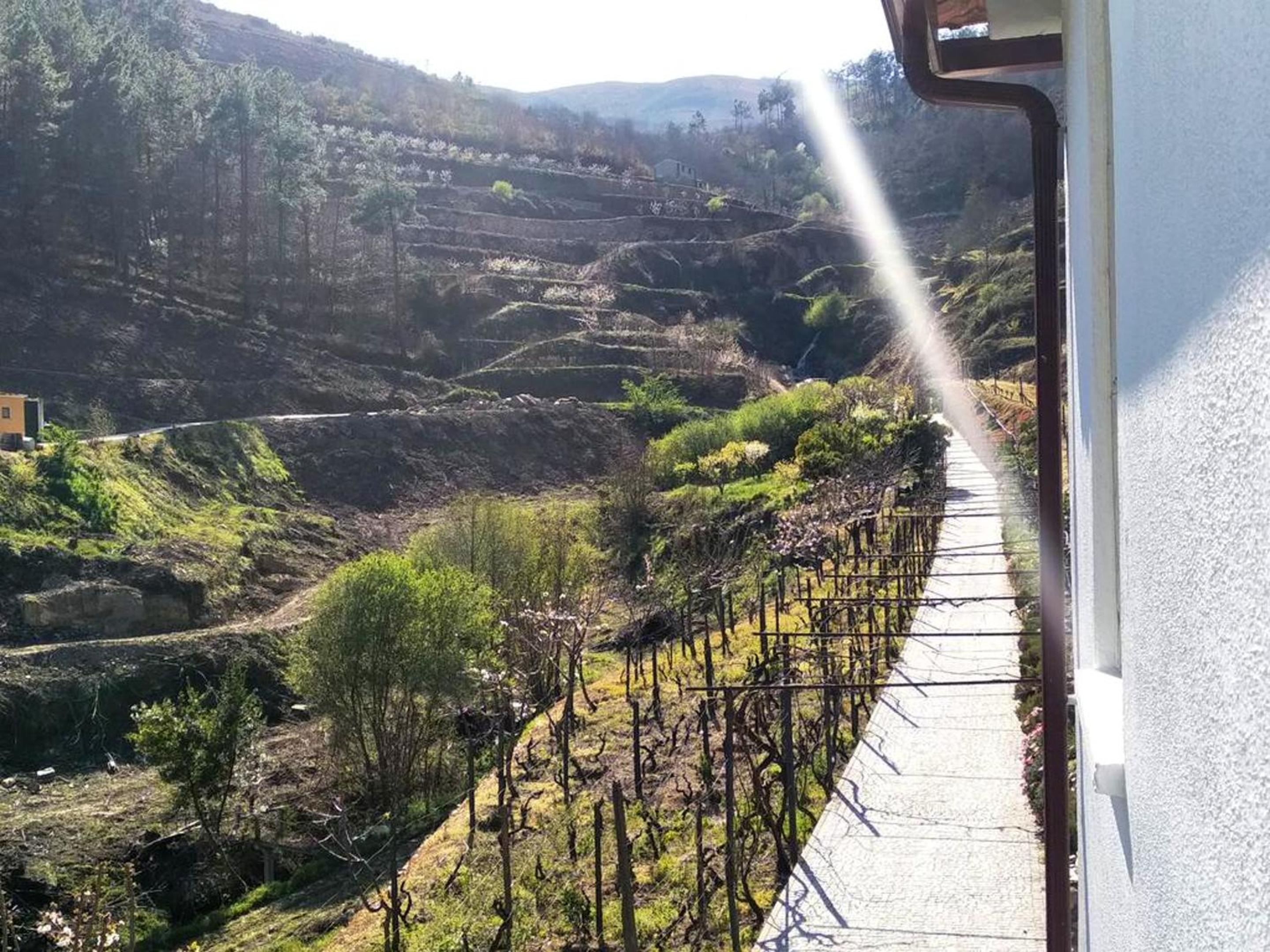 Charming Villa with Pool in Lamego view 5