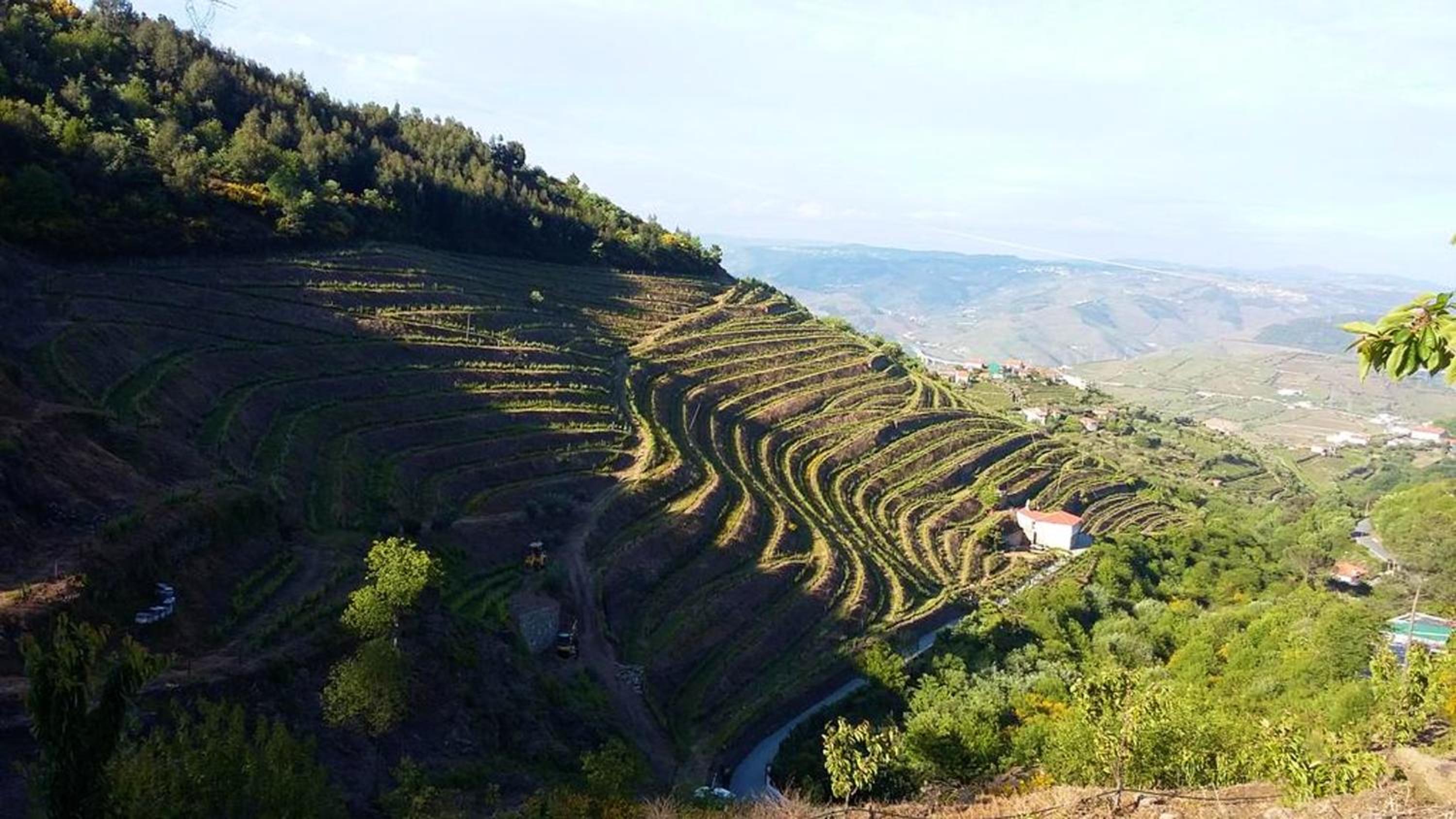 Charming Villa with Pool in Lamego view 4