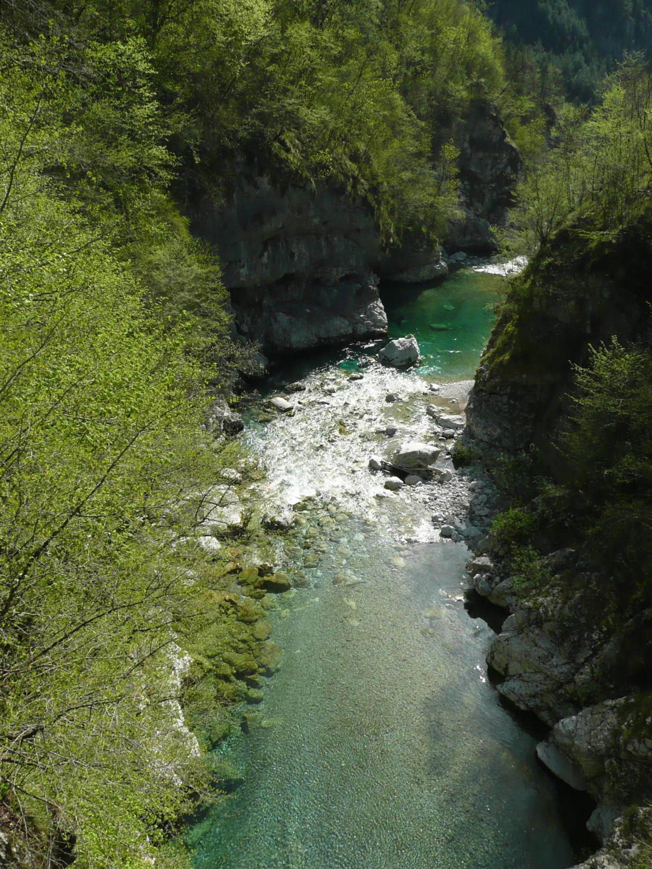 Photo 35