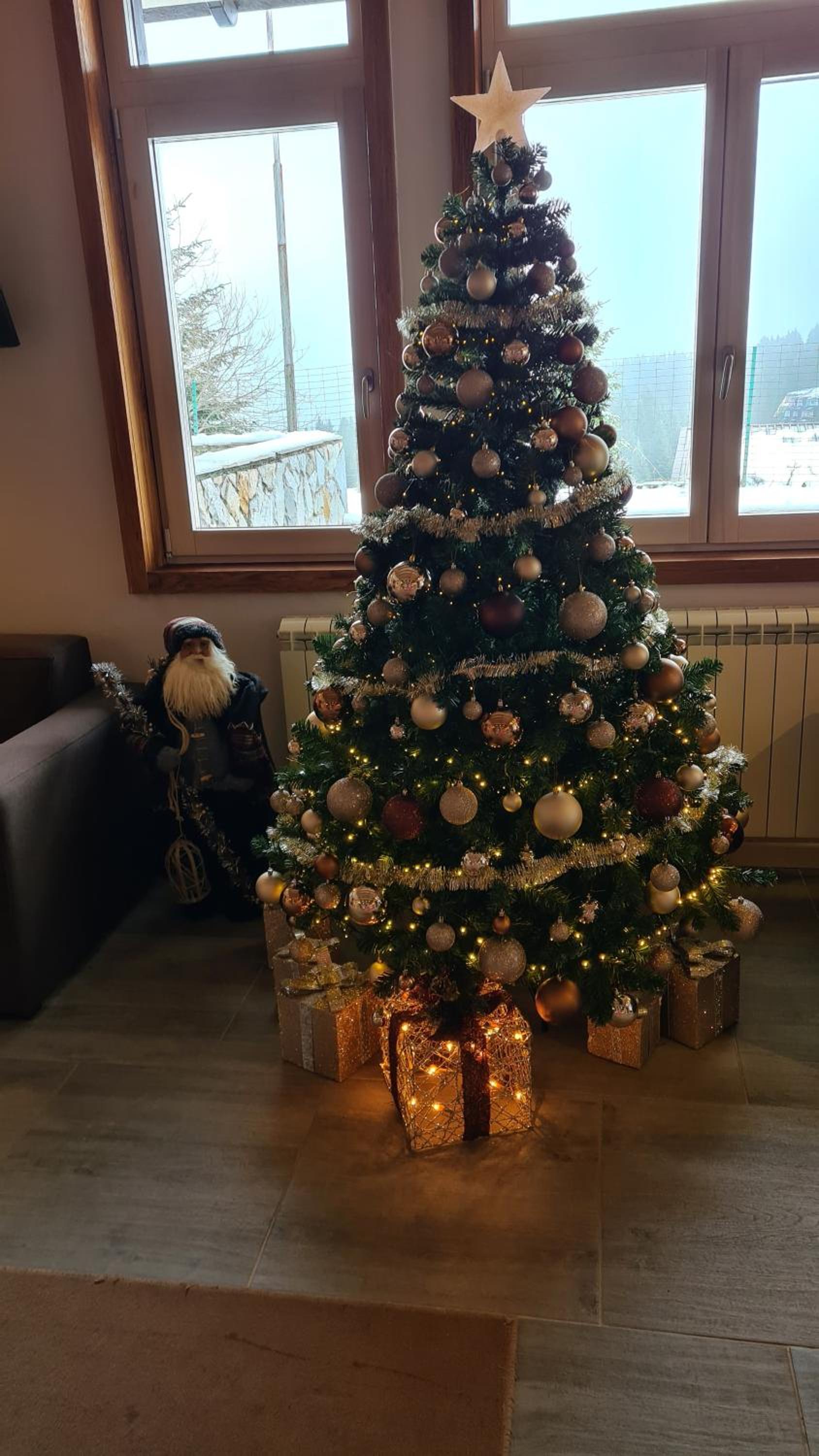 Photo 22