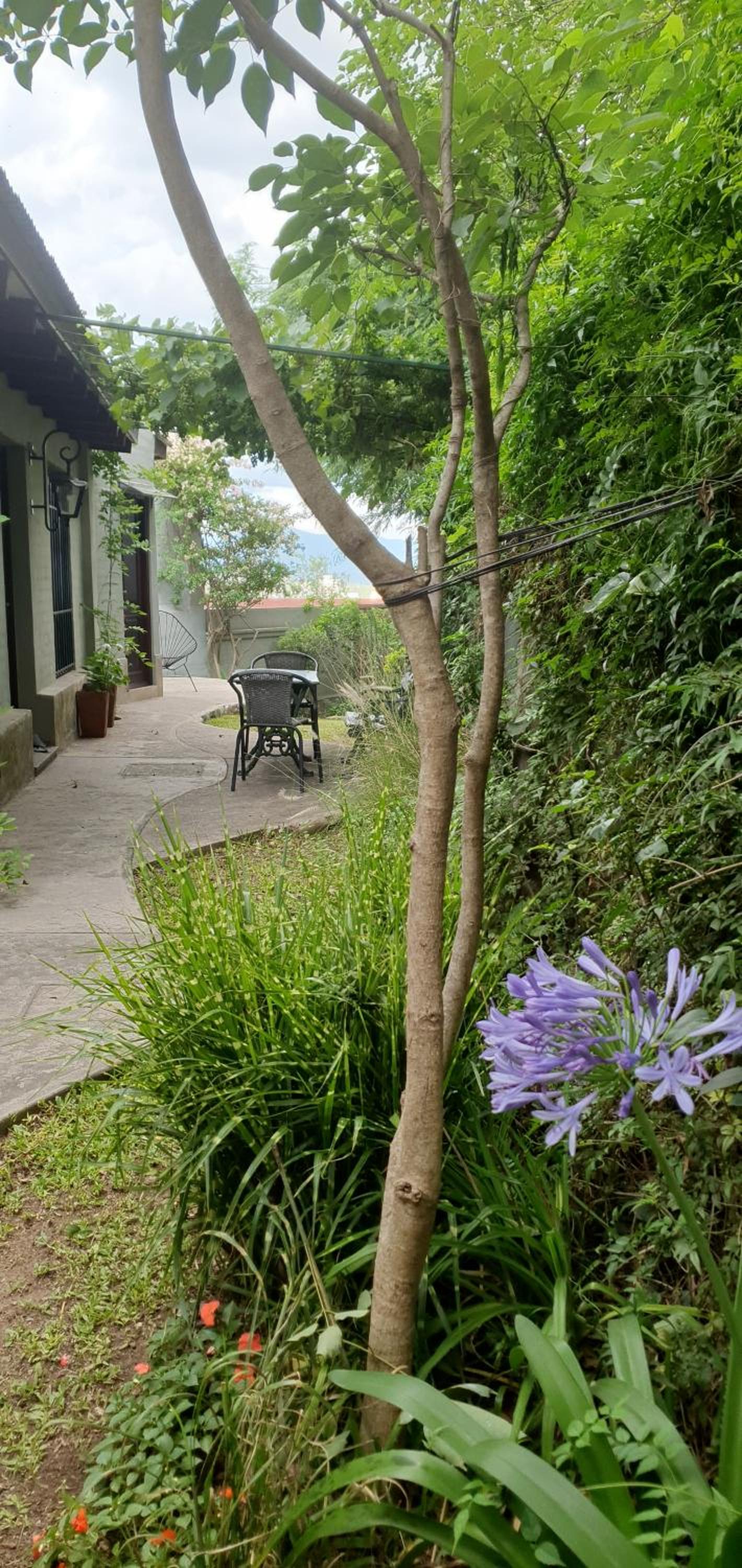 Los Tarcos Guest House