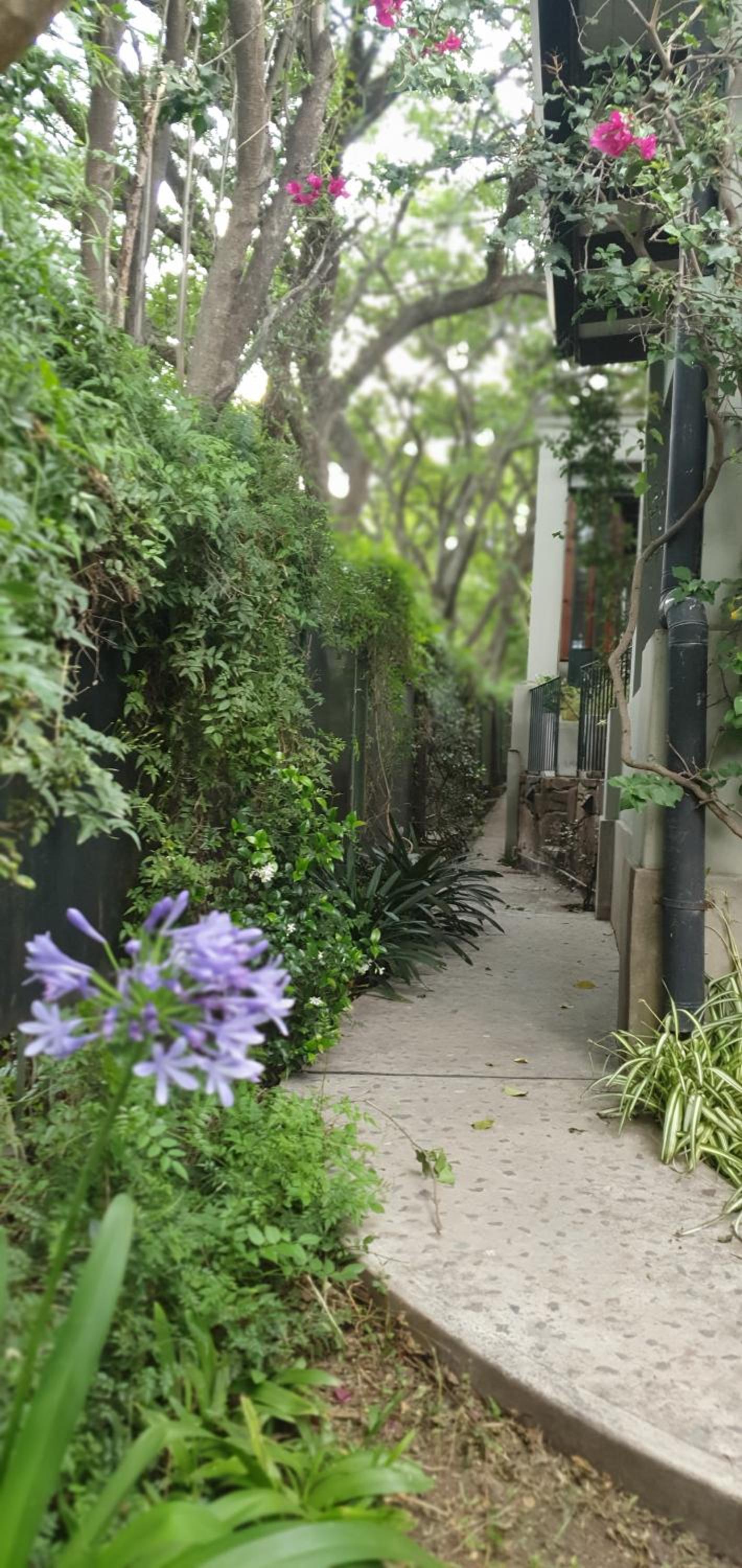 Los Tarcos Guest House