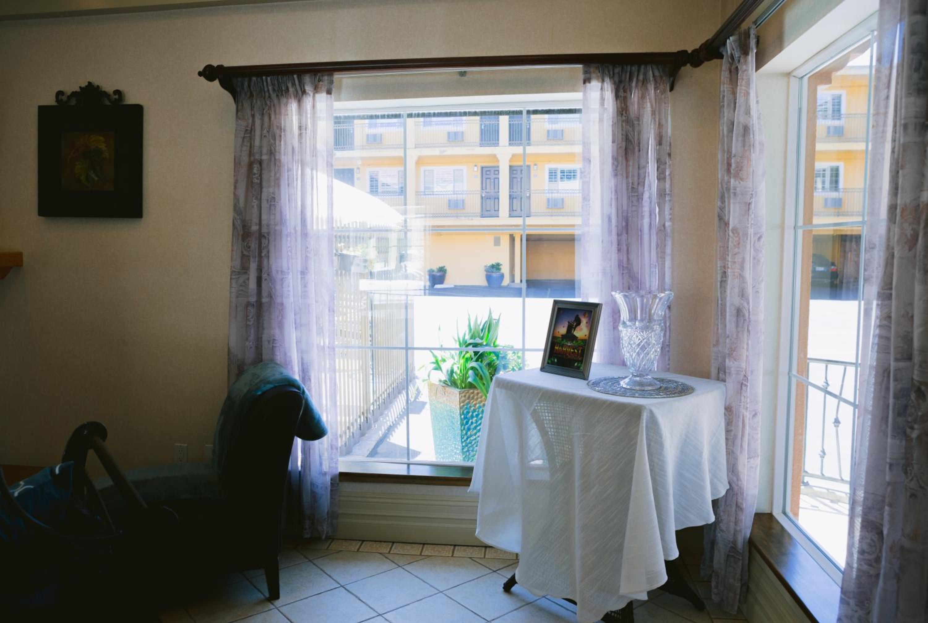 Photo 7