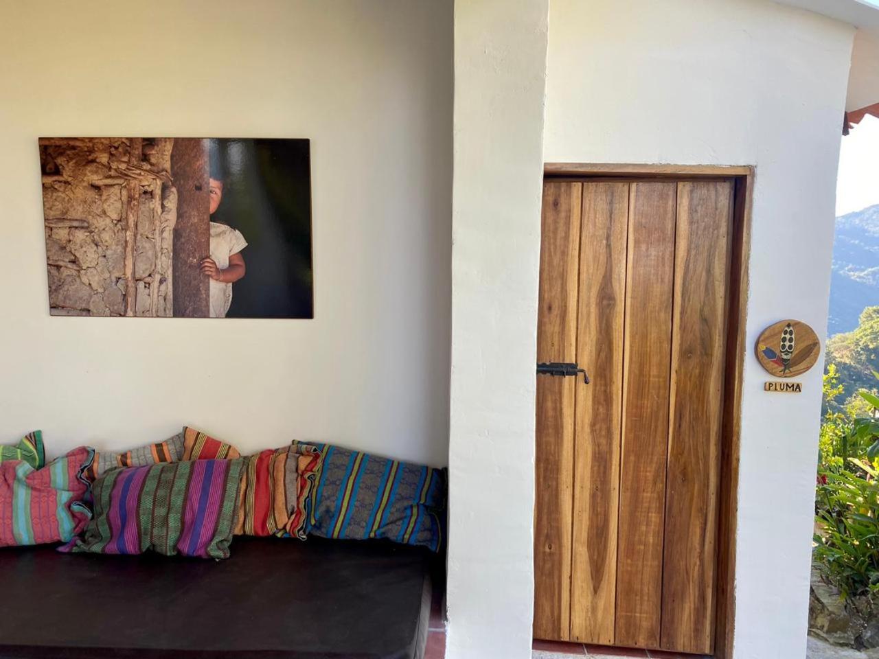 Mundo Nuevo ECO LODGE