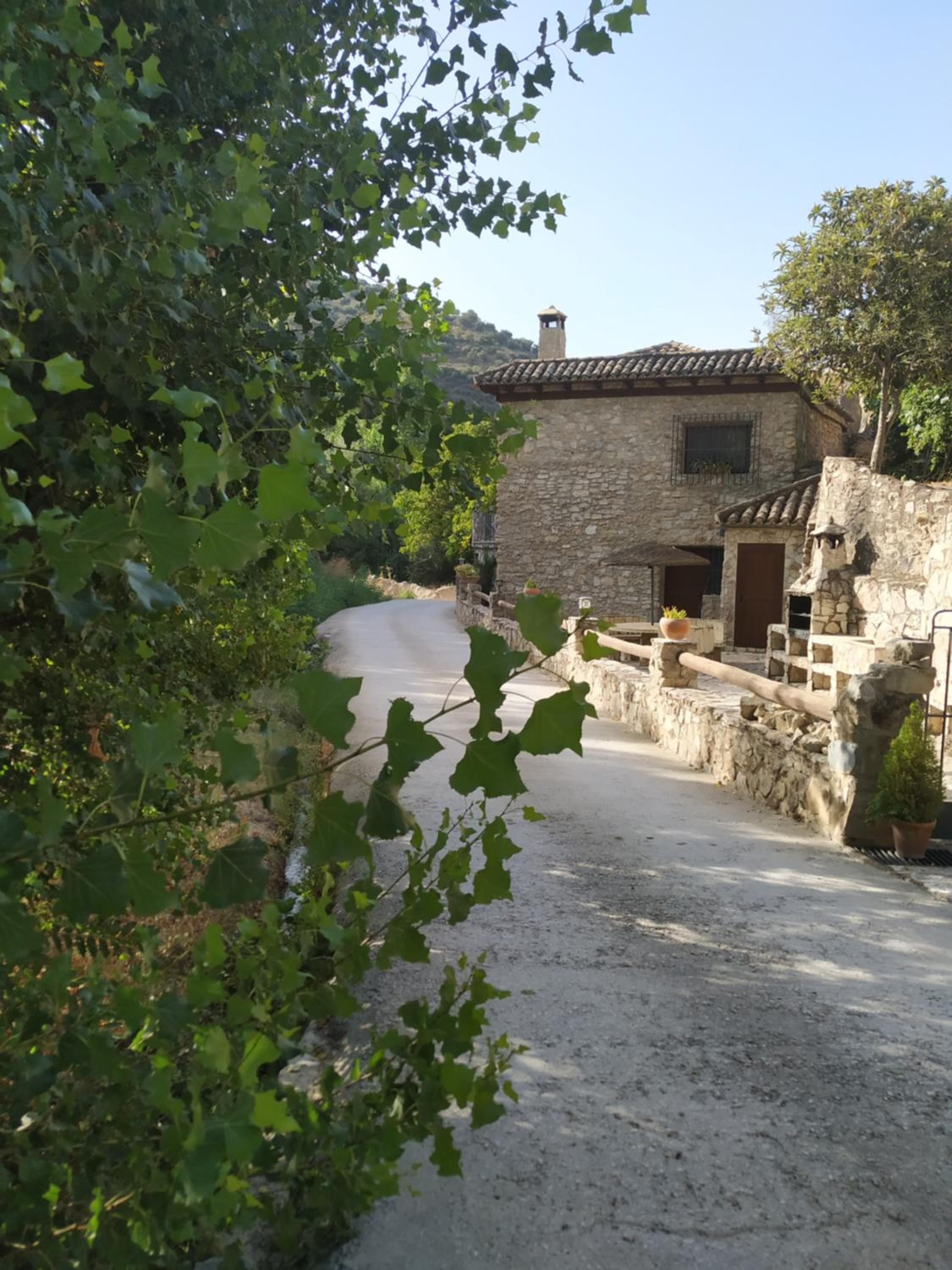 Photo 40