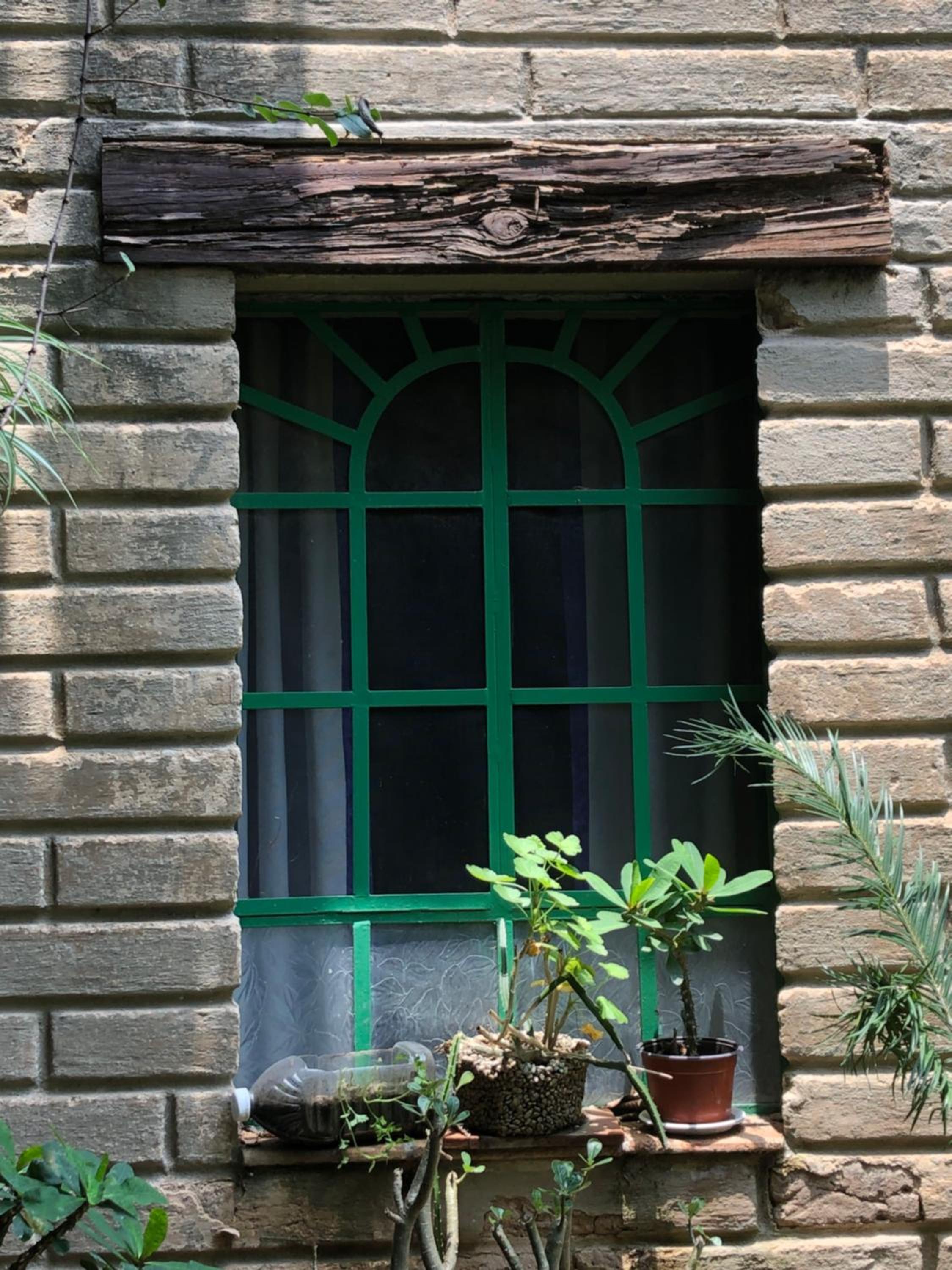 Casa del Retoño
