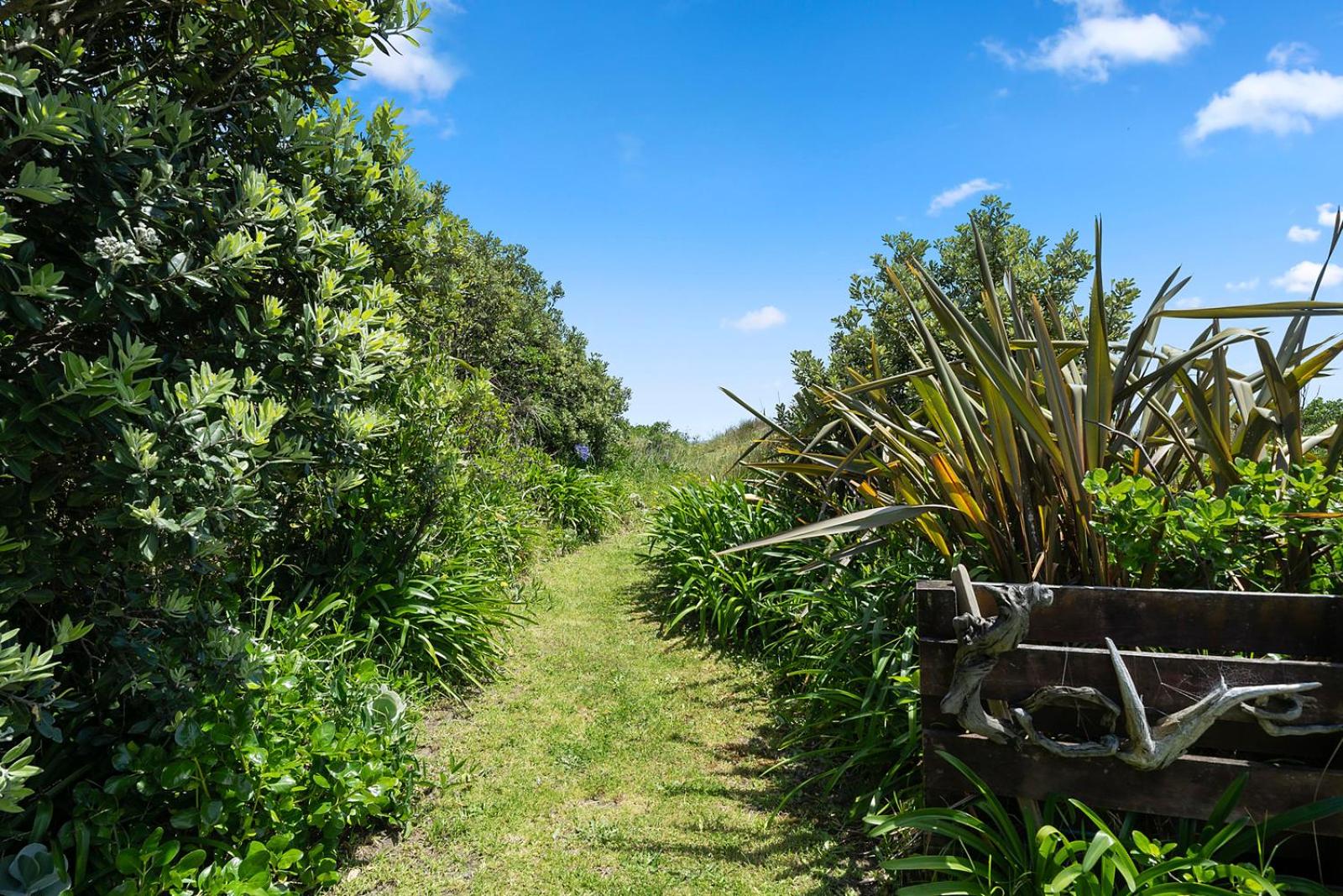 Searenity - Waikanae Beach Holiday Home view 2
