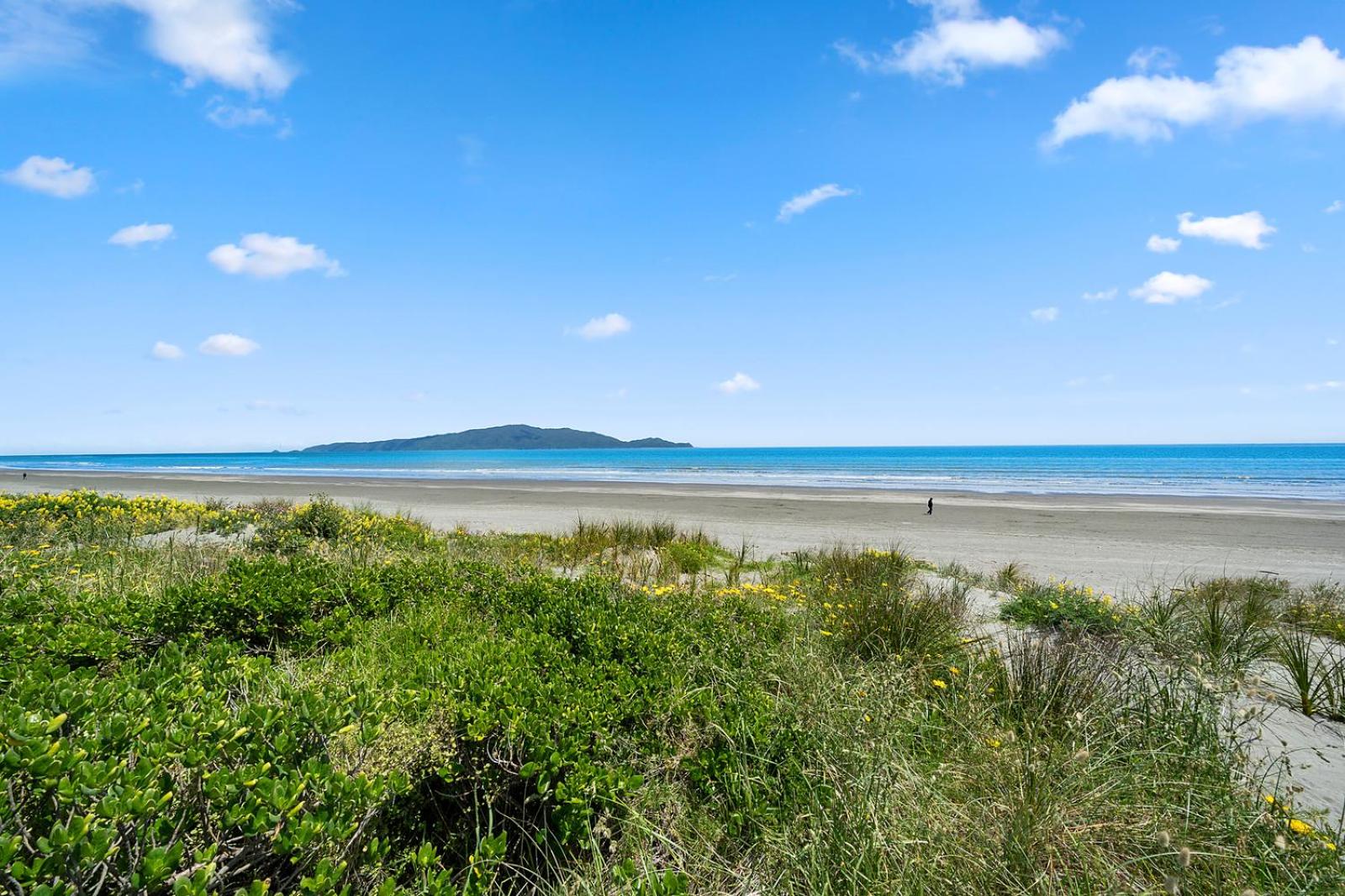 Searenity - Waikanae Beach Holiday Home view 3
