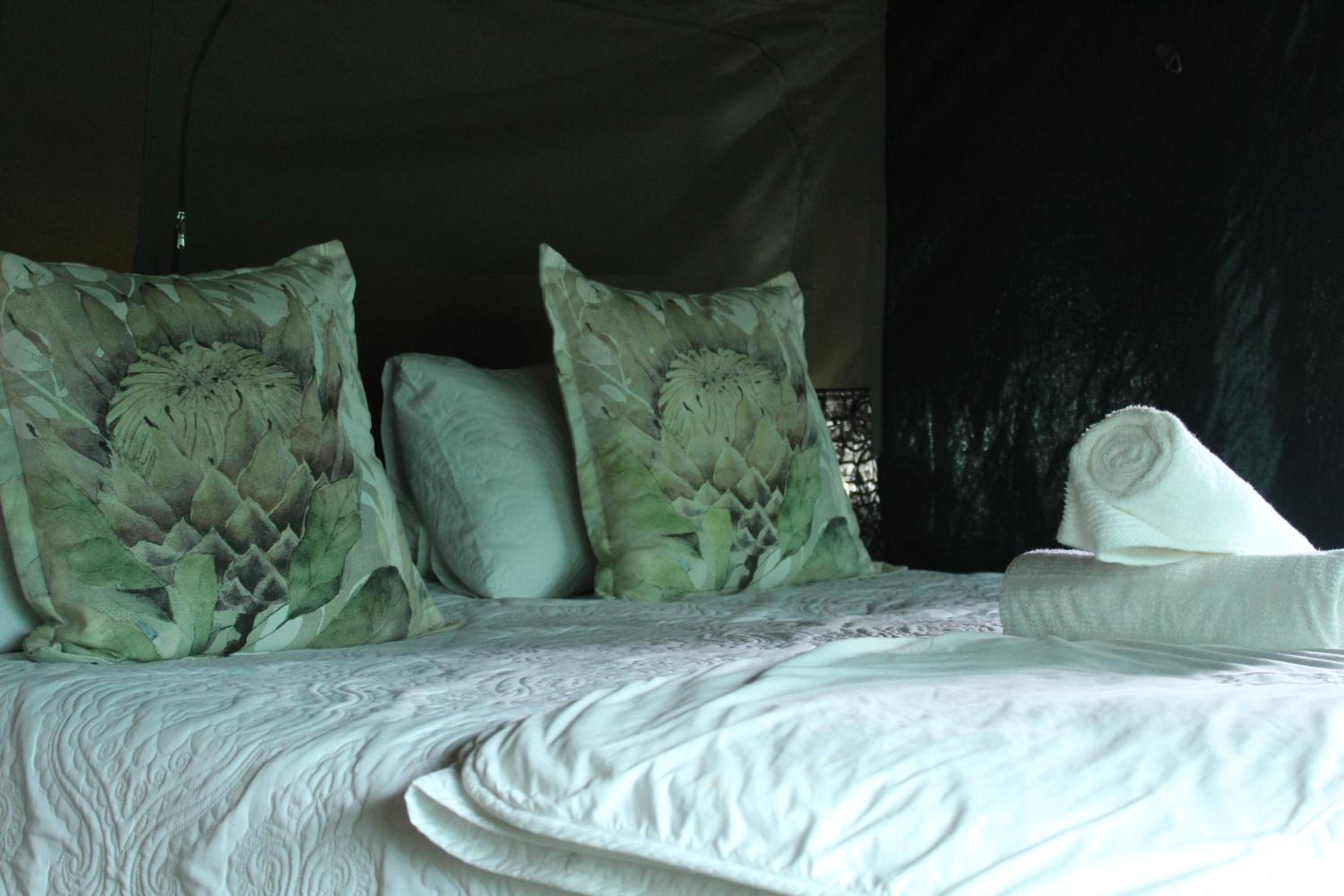 Otium Oasis Glamping & Camping view 3