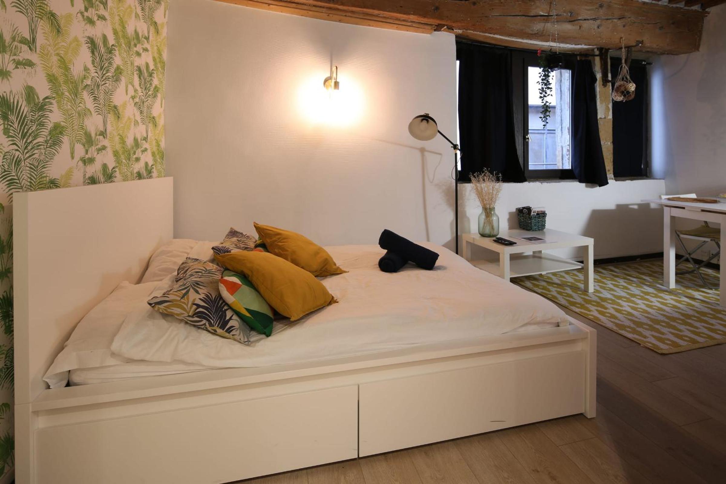 Charming Studio Centre Ville De Lyon photo 3