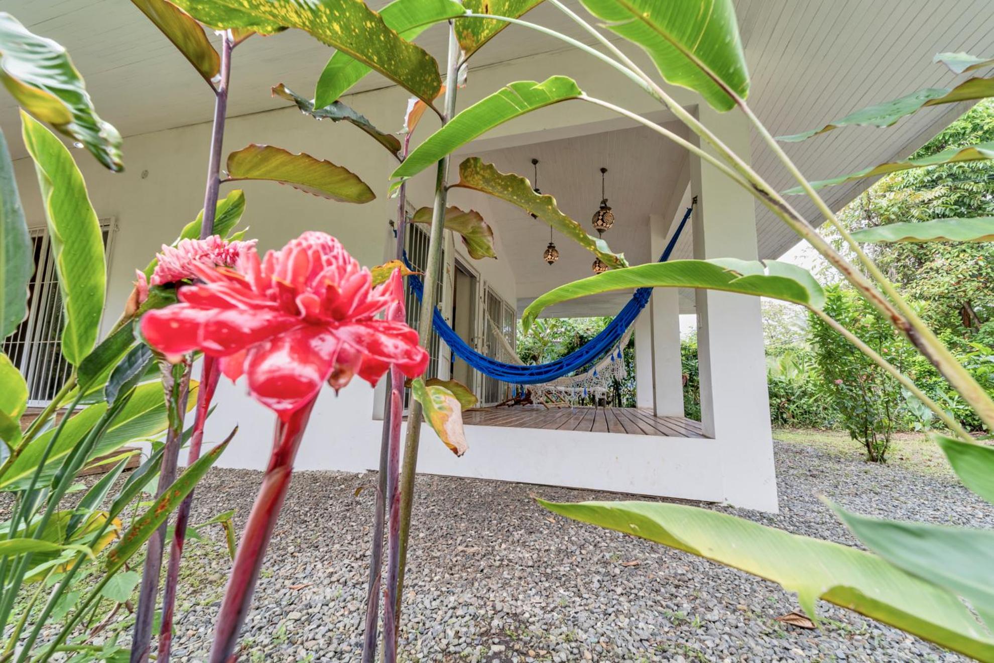 Pineapple house Manzanillo