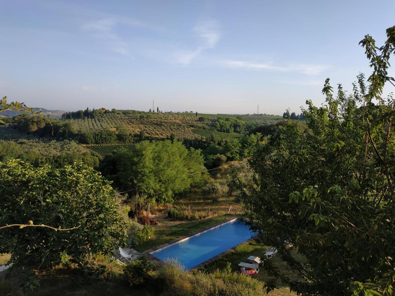 Poderi in Chianti