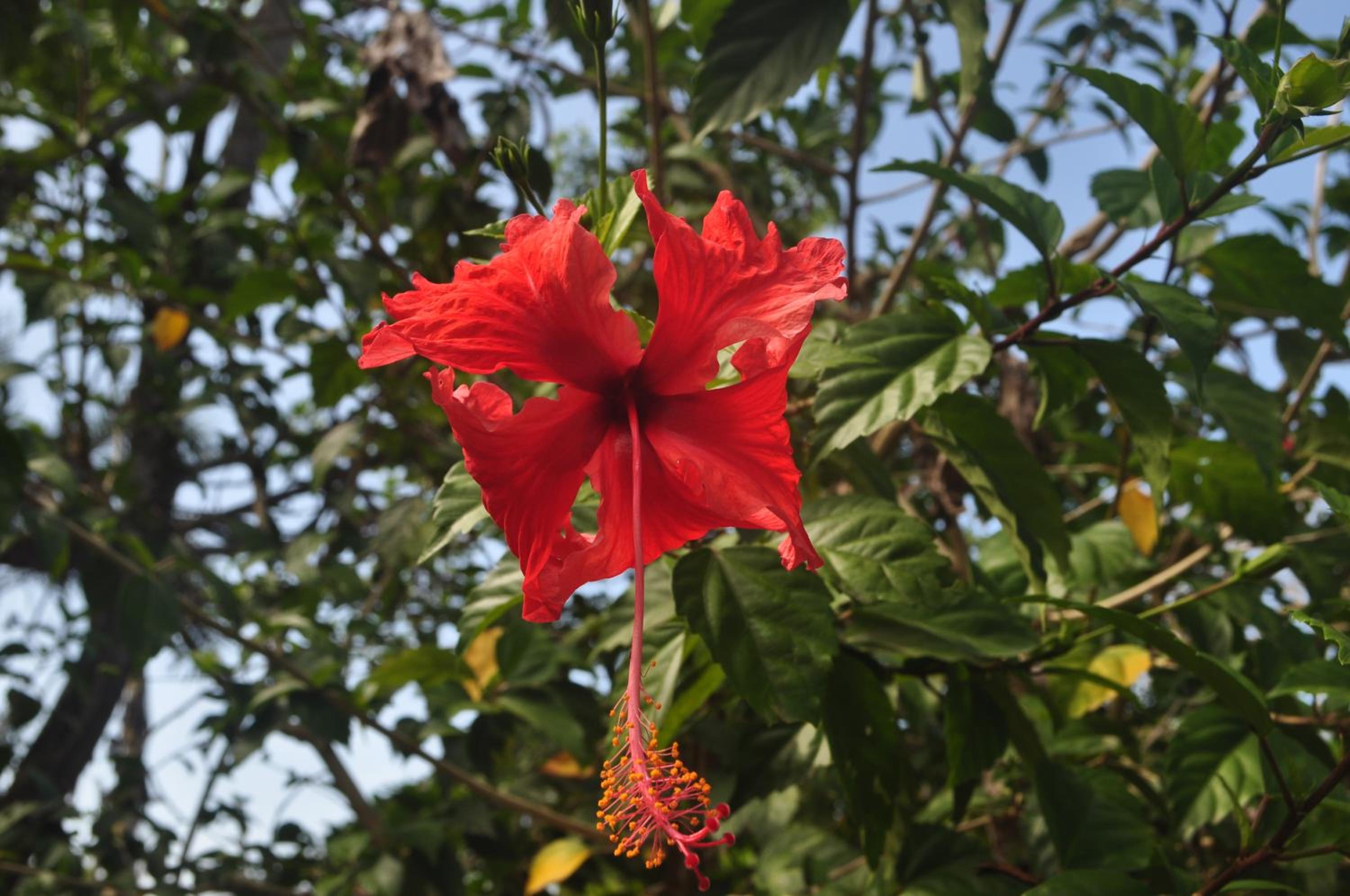 Hotel El Encanto