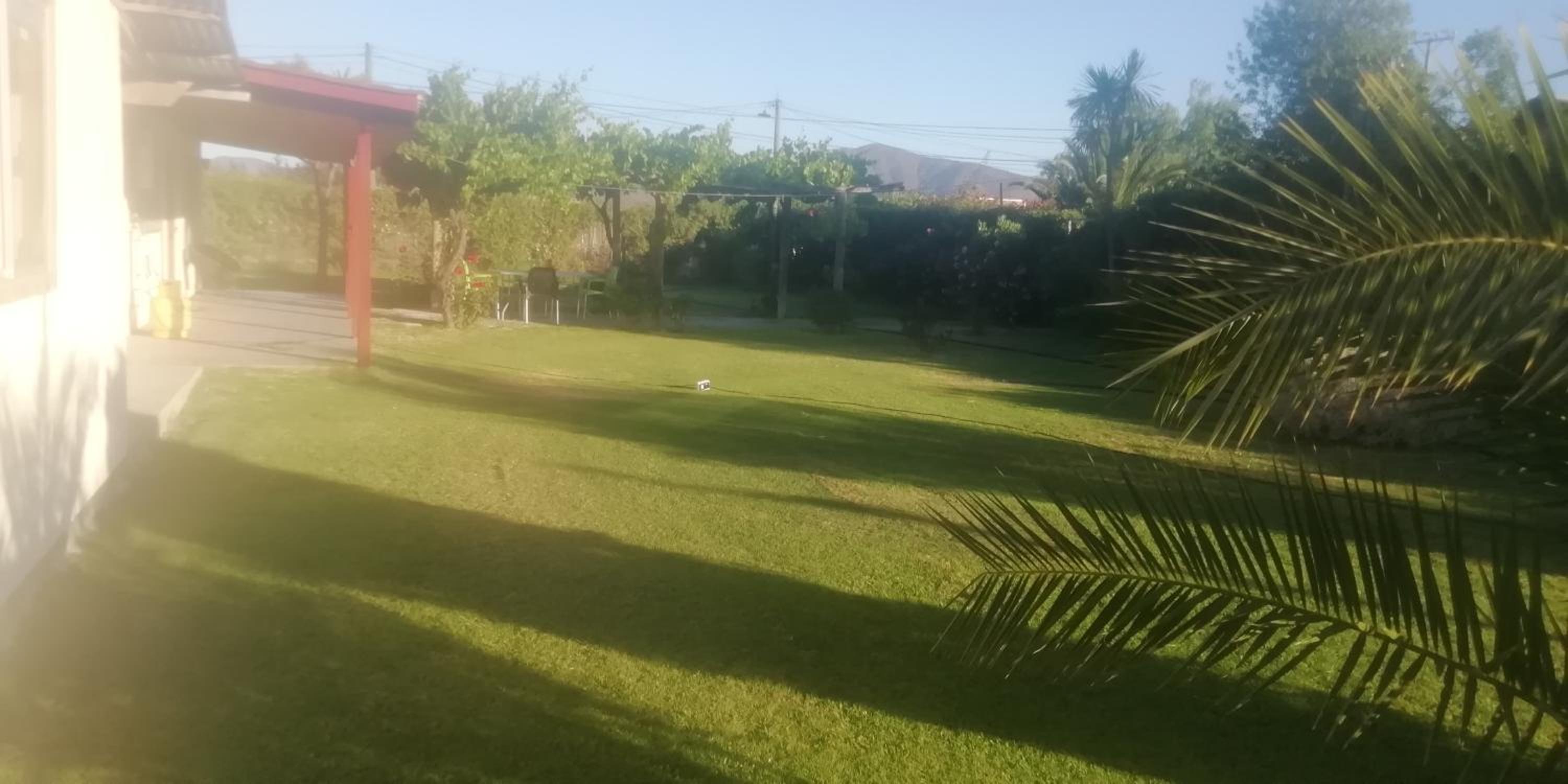 Conectar con la naturaleza te hará más feliz