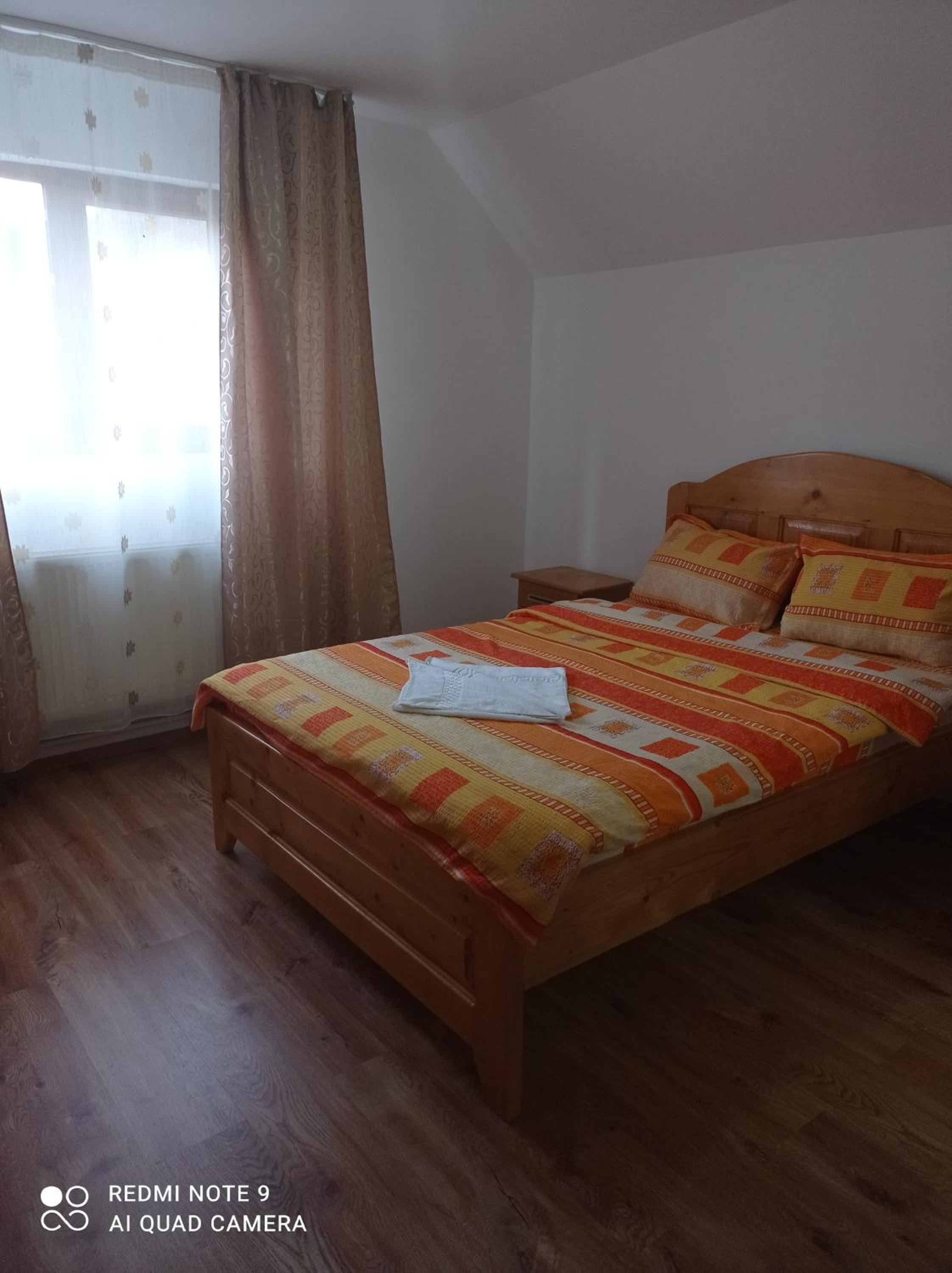 Vila Bucovina view 2