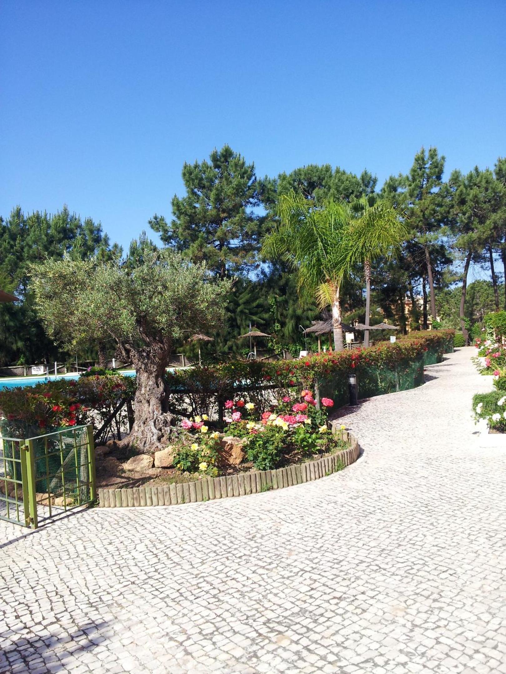 Welcoming House in Islantilla Pool and Garden View