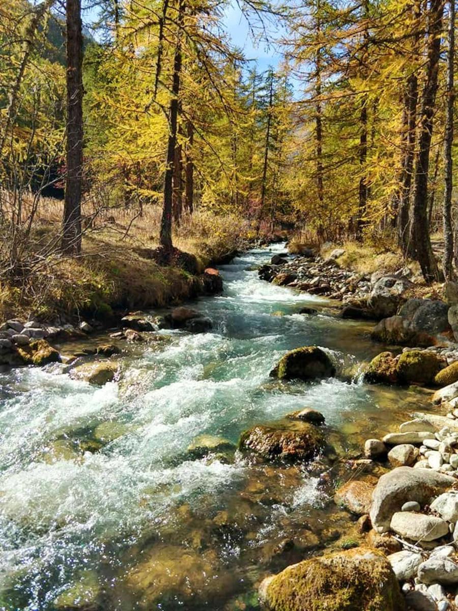 Studio avec jardin a La Salle les Alpes