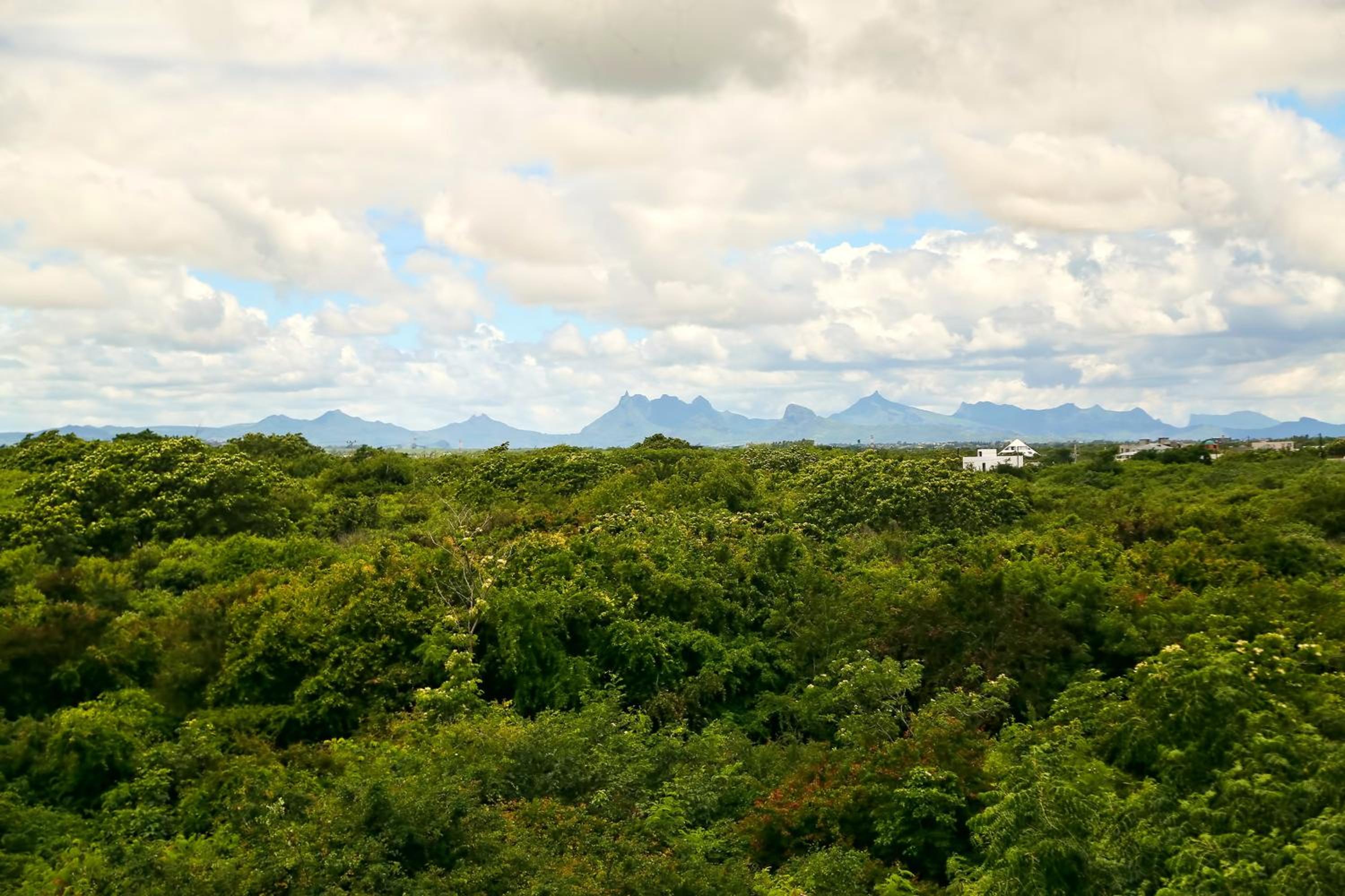 Luxurious Villa in Pereybere with Pool