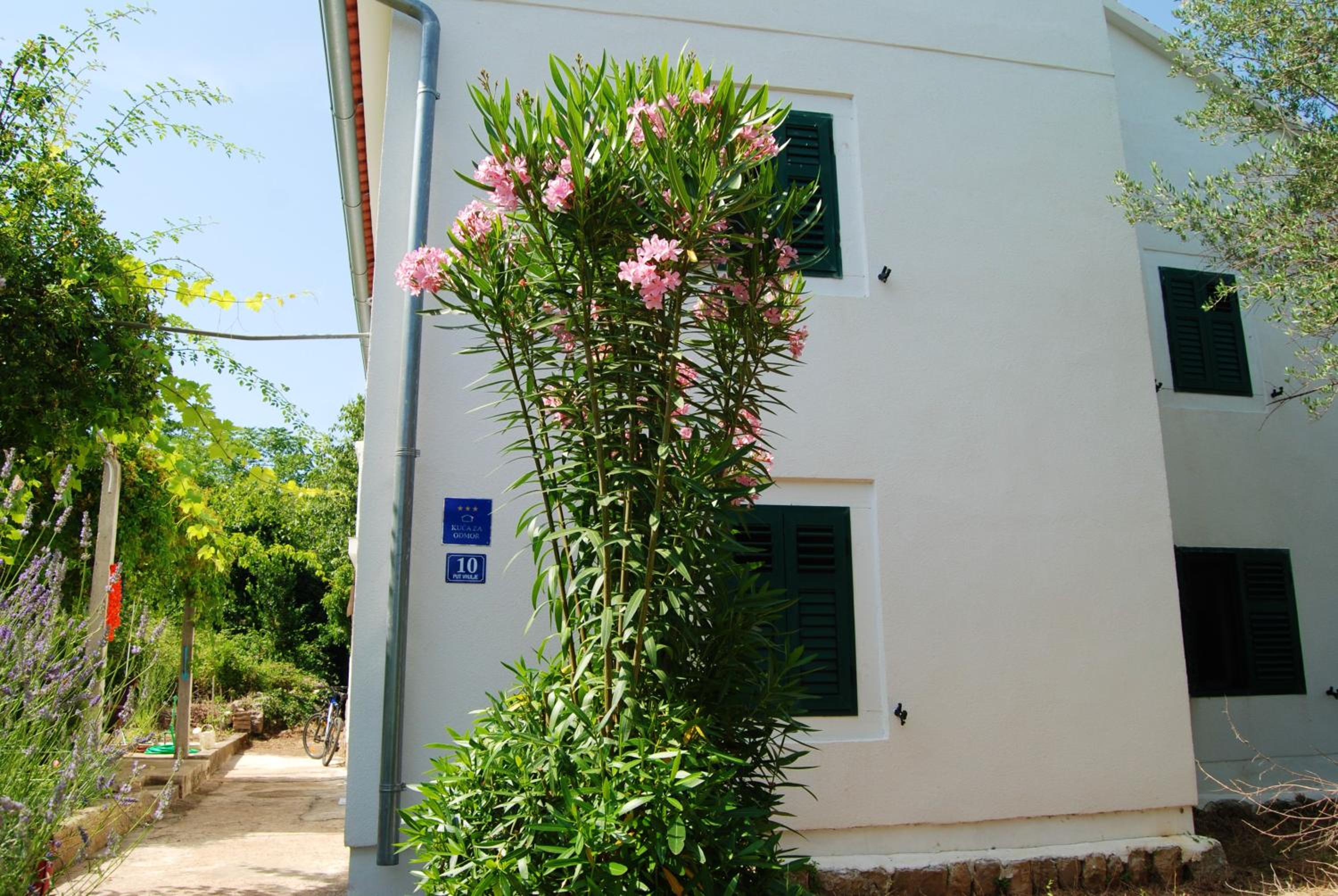 Spacious house in Lukoran with sea view