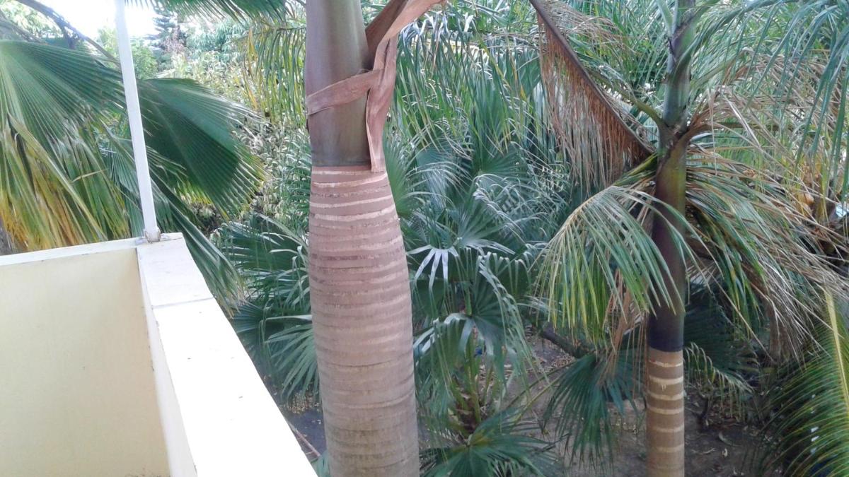 3 bedrooms appartement at Trou aux Biches 250 m away from the beach with sea view garden and wifi