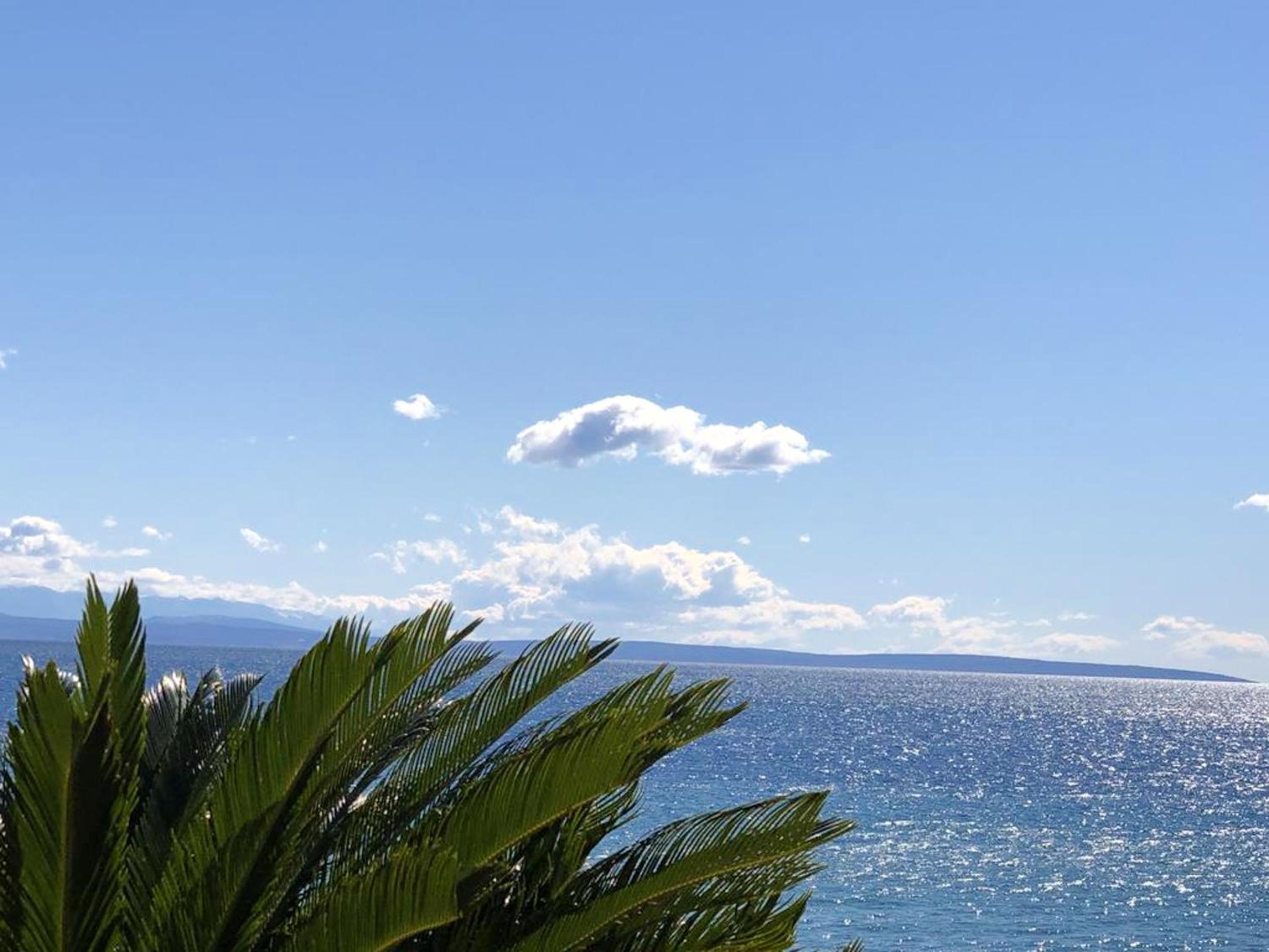 Welcoming apartment in Novigrad, 40 m² with peaceful garden view 4