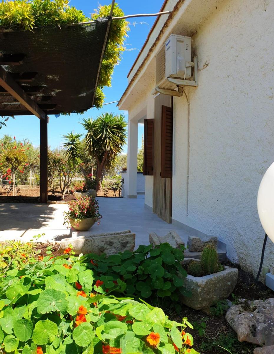 2 bedrooms appartement with enclosed garden and wifi at Castelmare del golfo 2 km away from the beach view 2